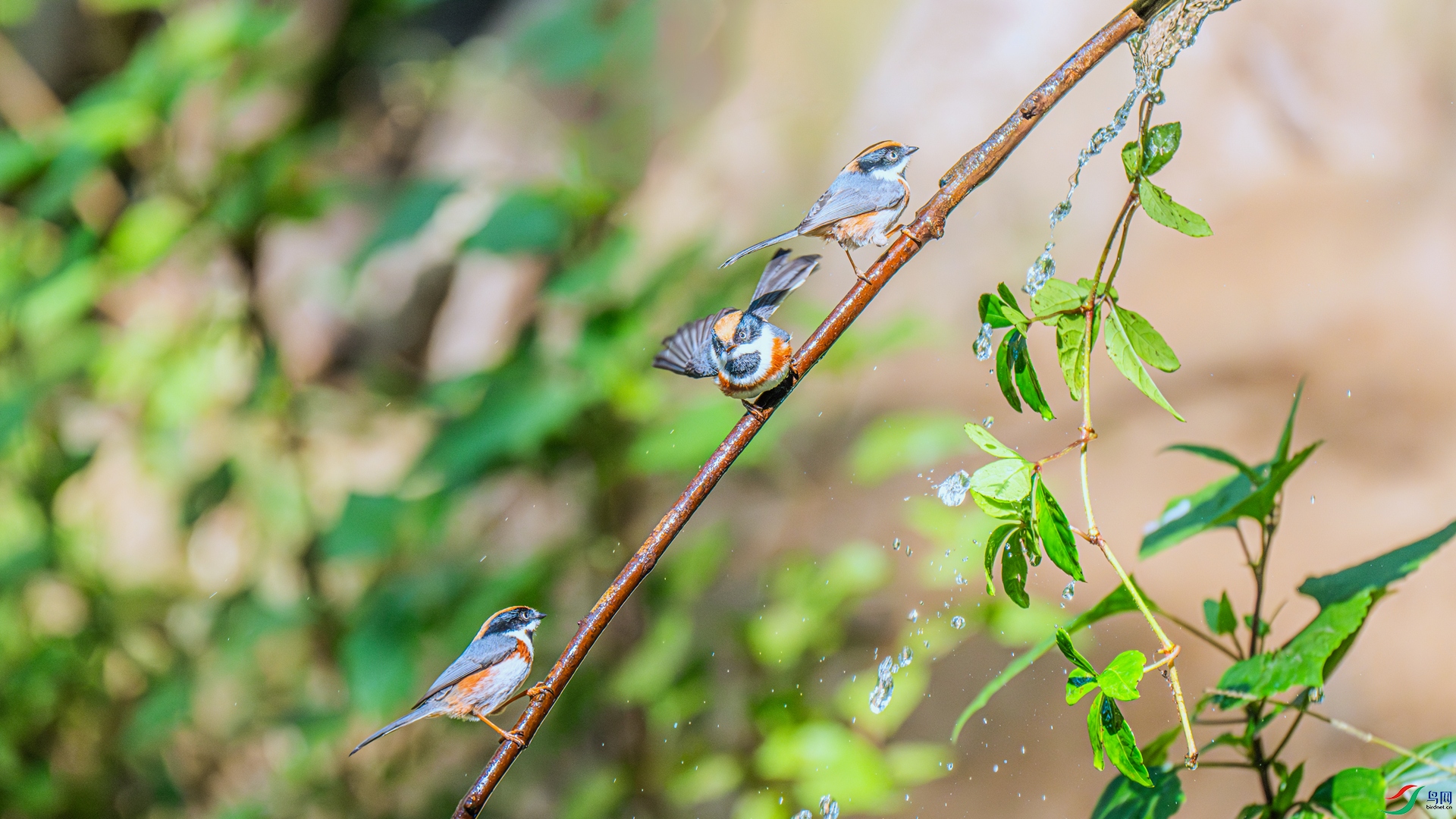 DSC_6713 ����_����.jpg