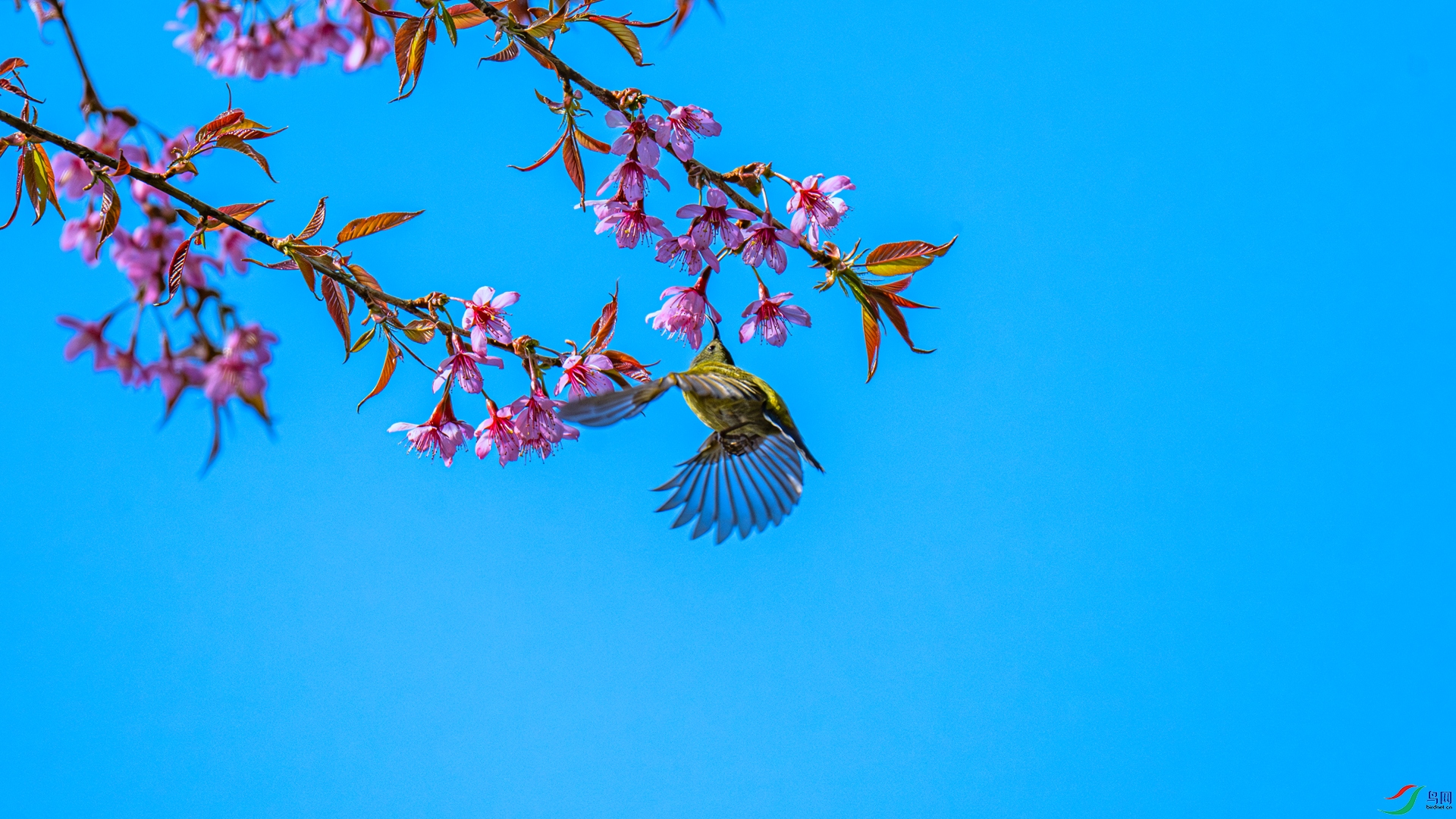 DSC_9894 ����_����.jpg