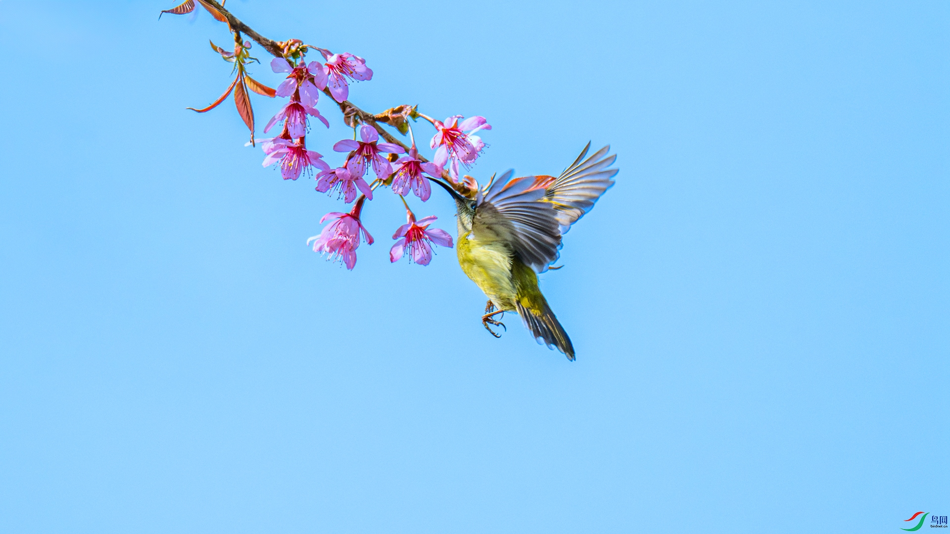 DSC_9903 ����_����.jpg