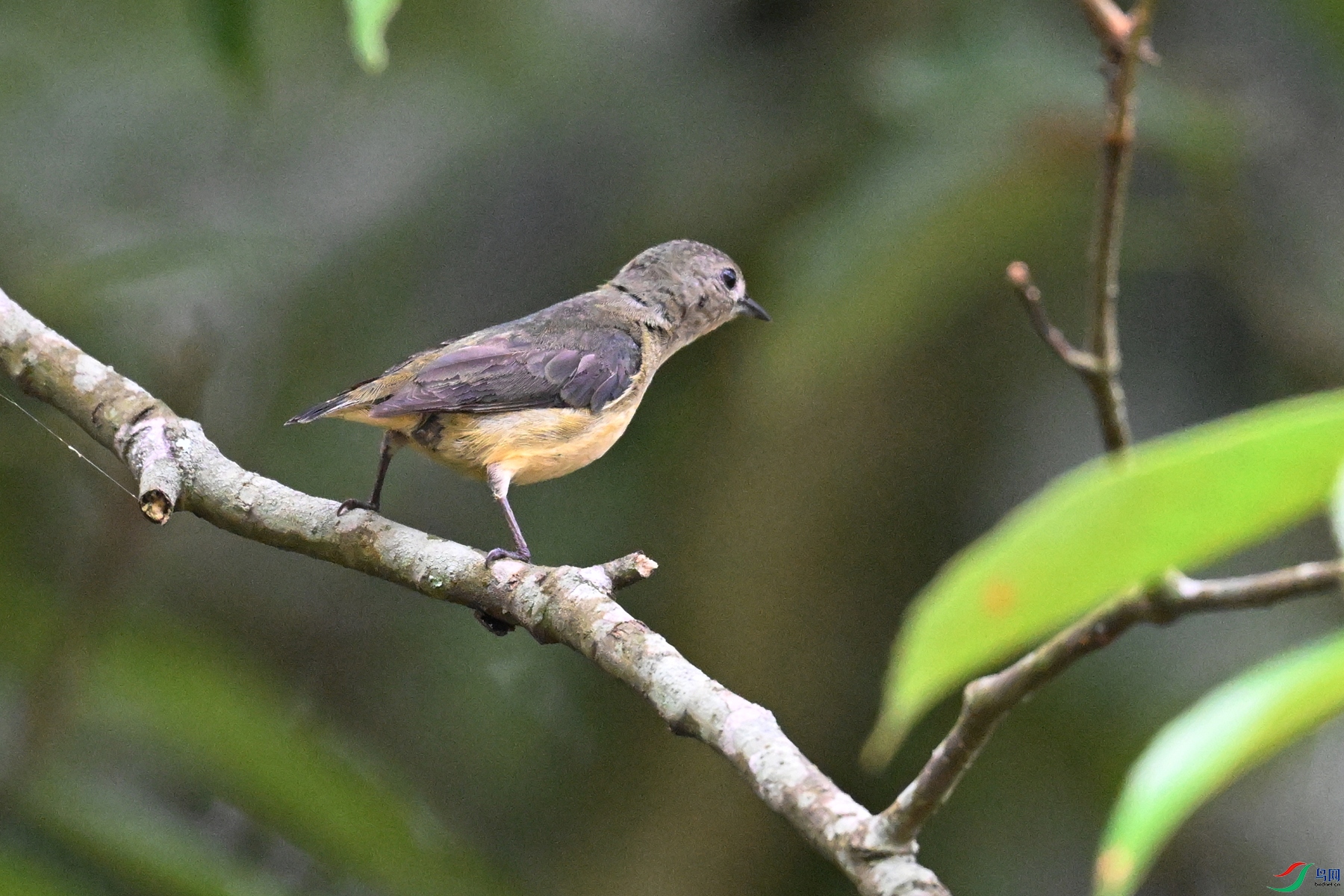 DSC_9916.JPG