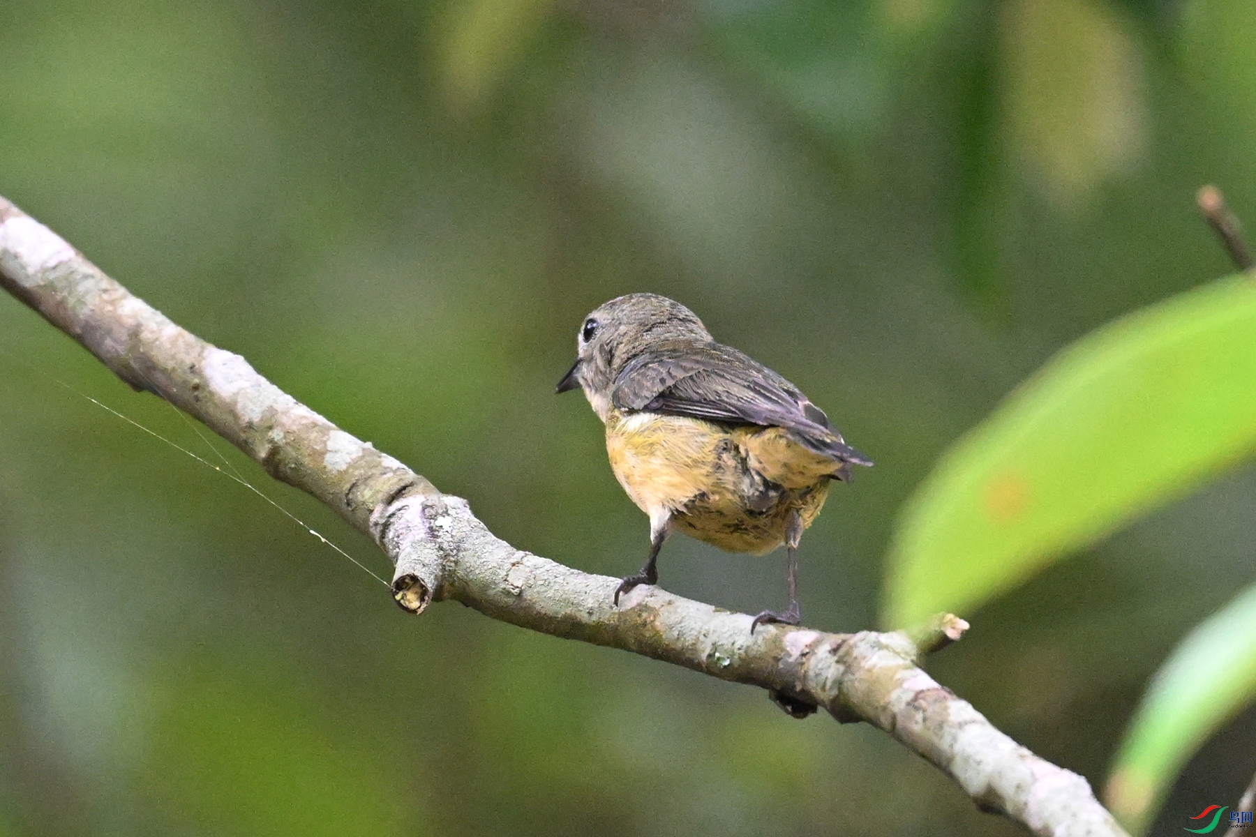 DSC_9845.JPG