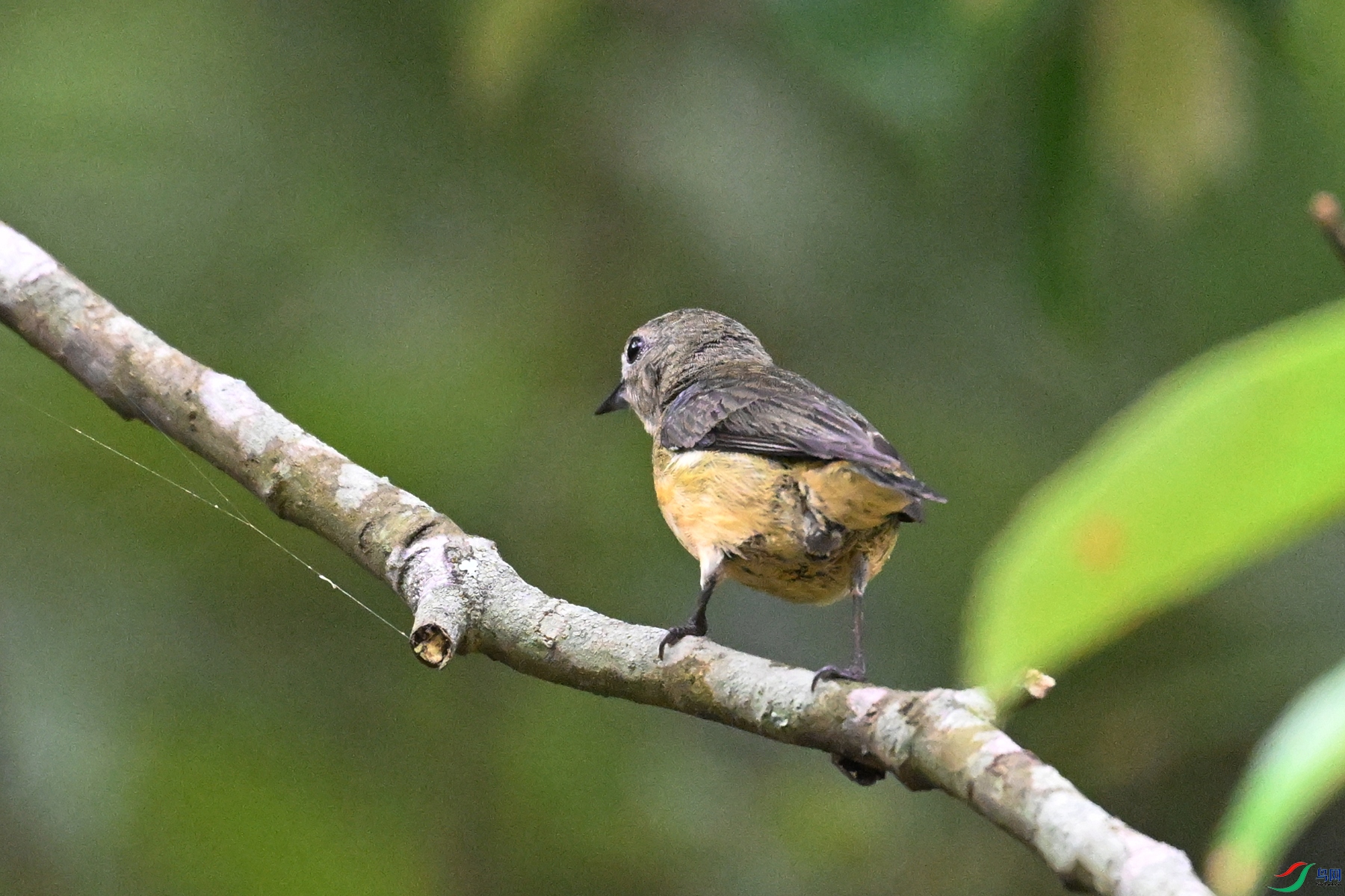 DSC_9847.JPG