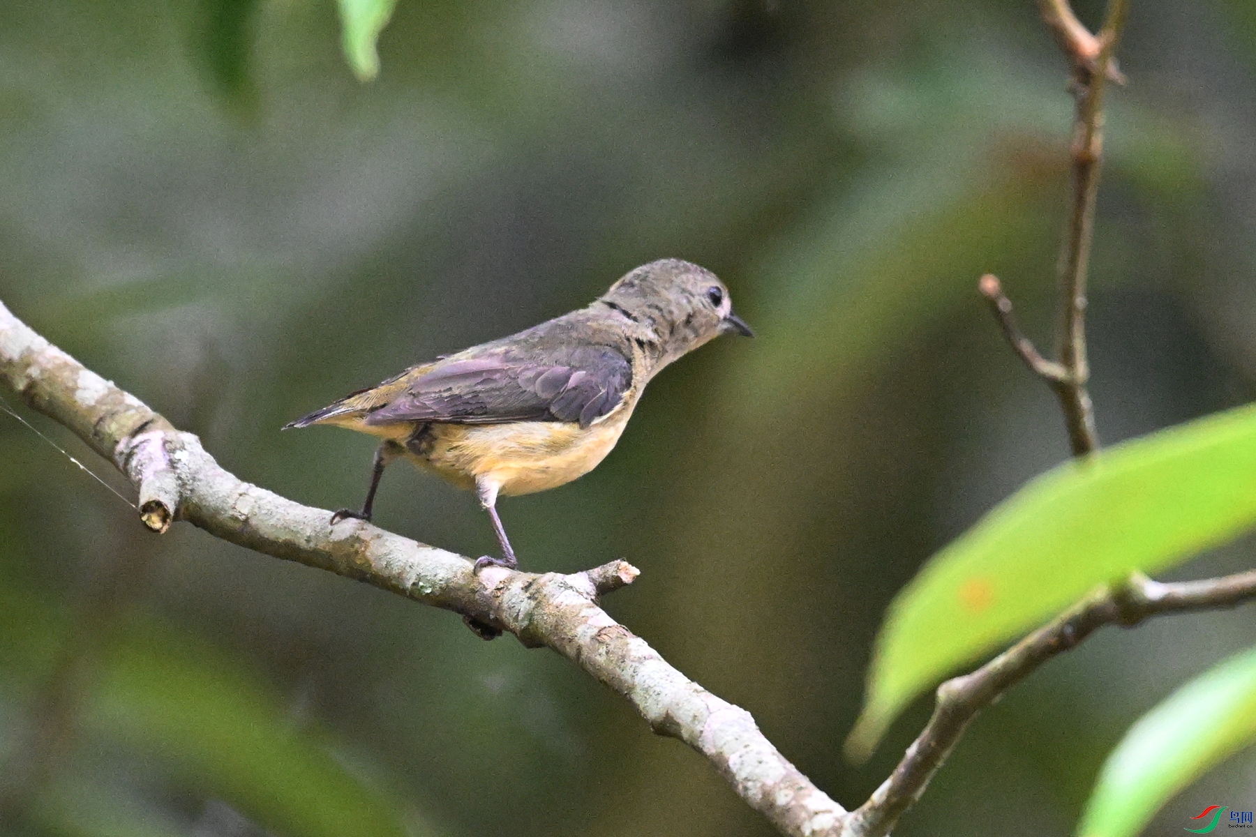 DSC_9913.JPG