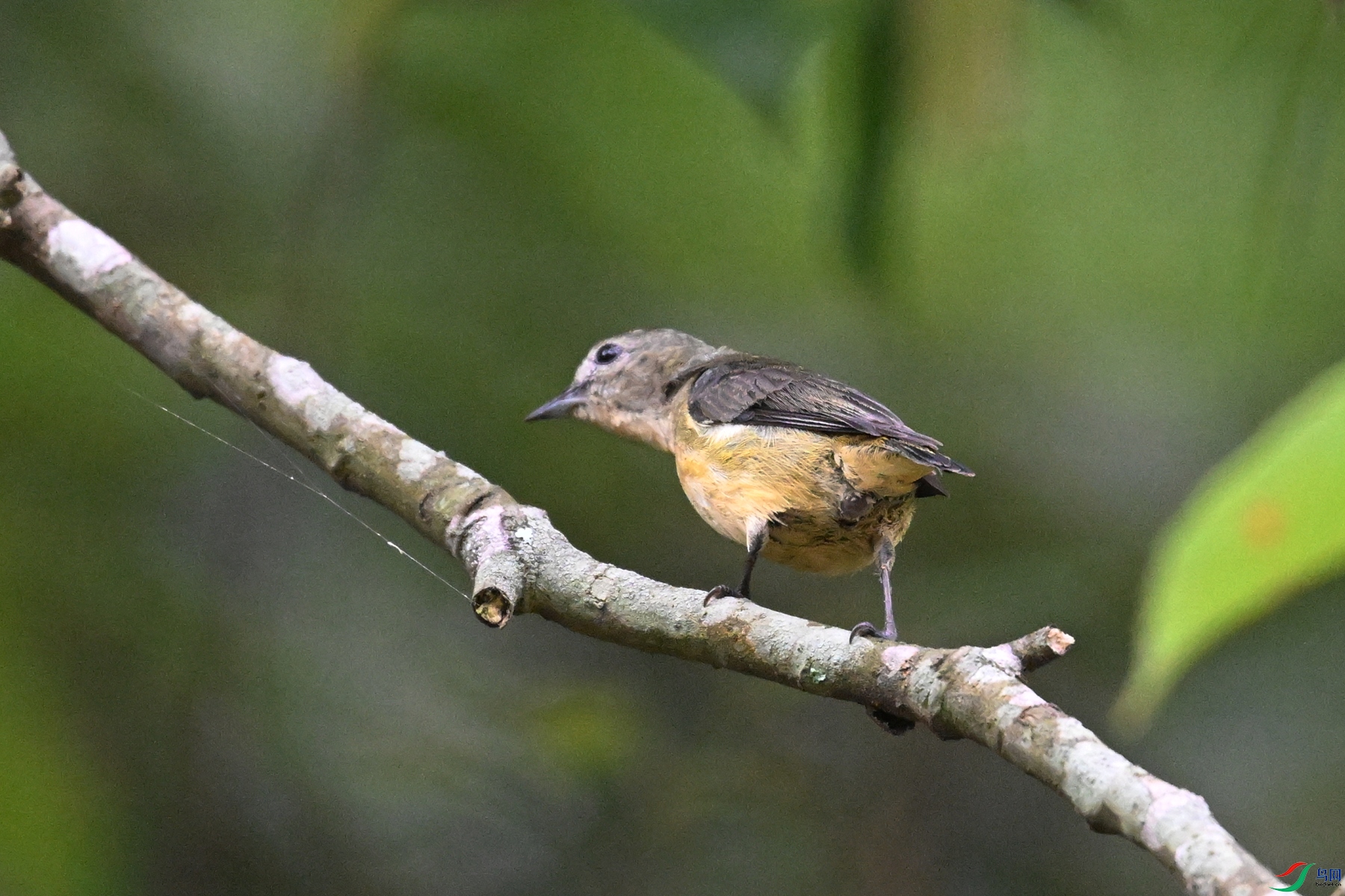 DSC_9868.JPG