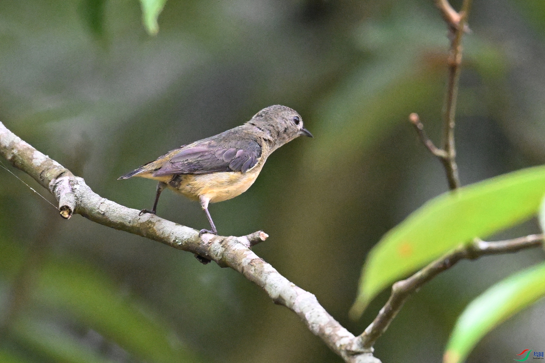 DSC_9918.JPG