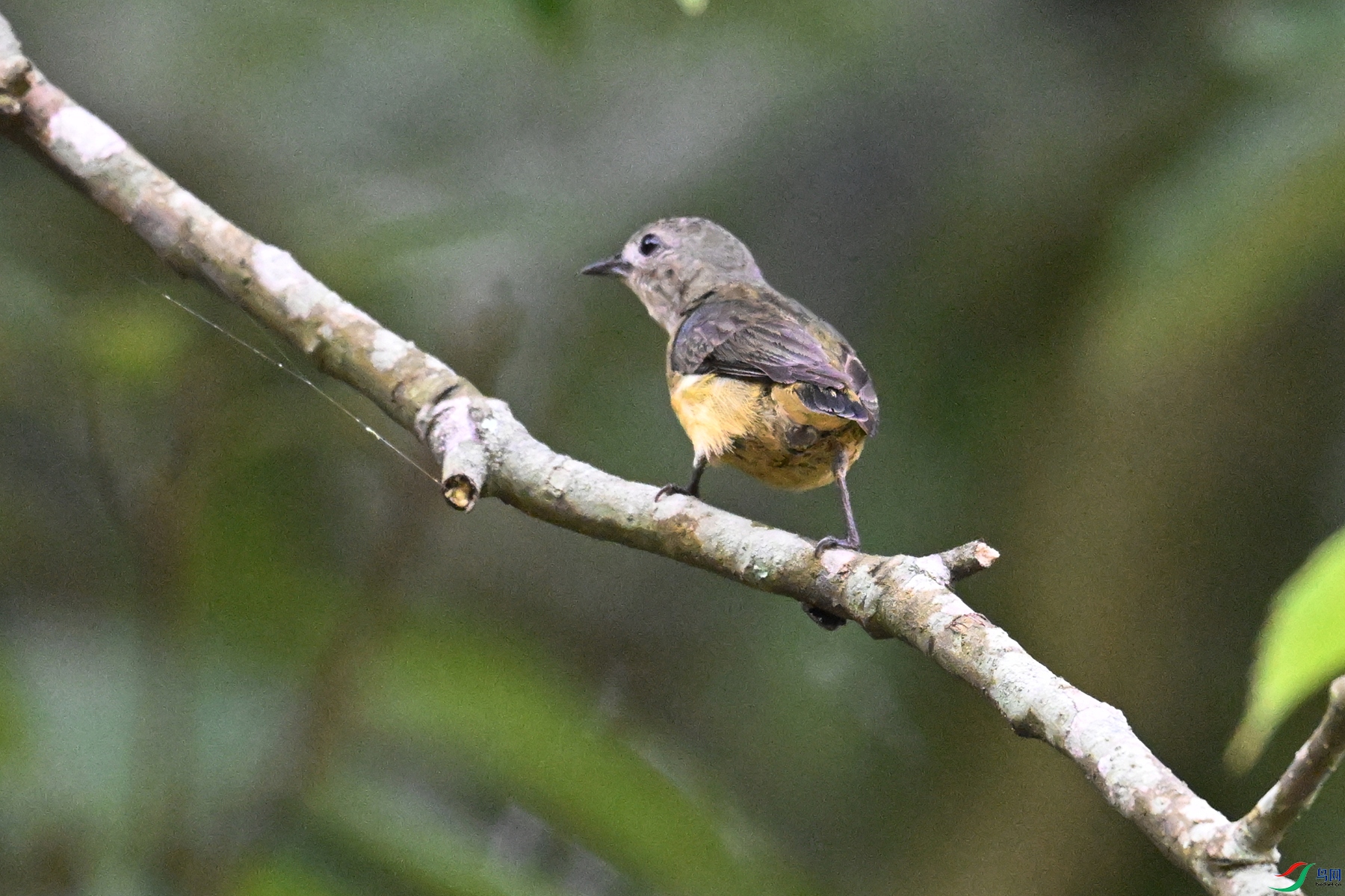 DSC_9920.JPG