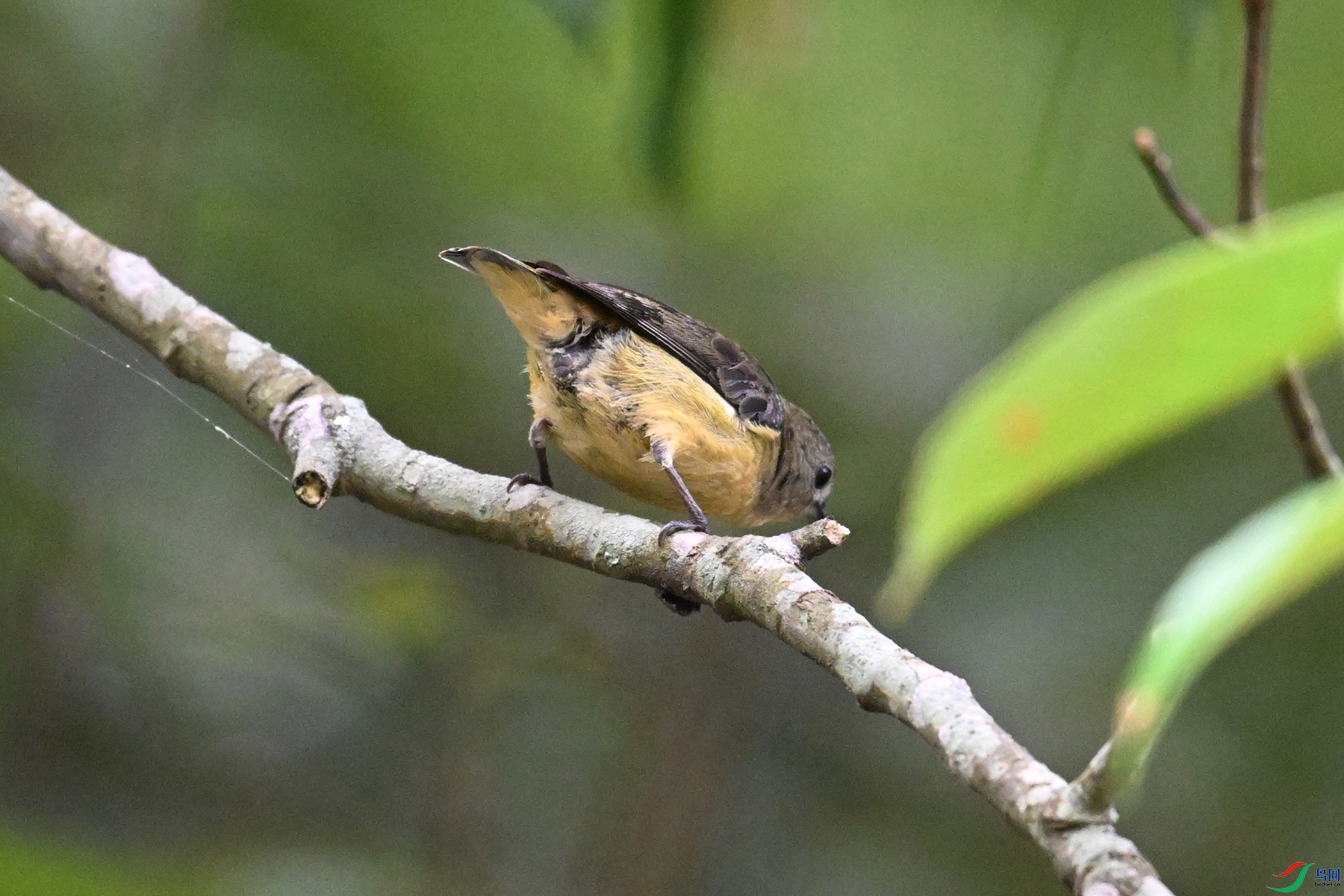 DSC_9892.JPG