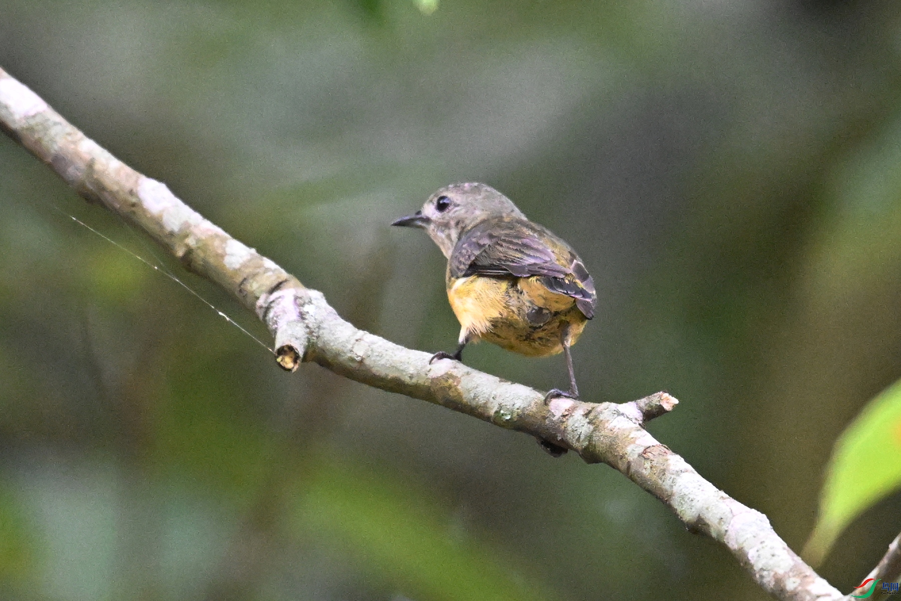 DSC_9928.JPG
