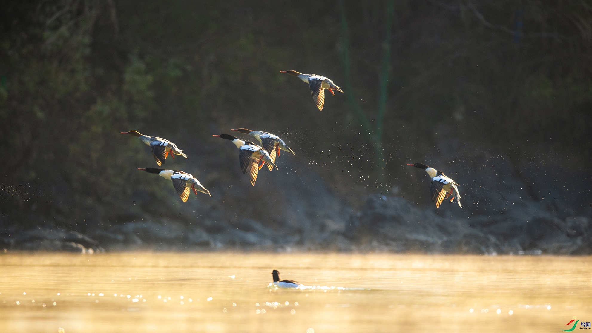 _DSC5851 ����.jpg