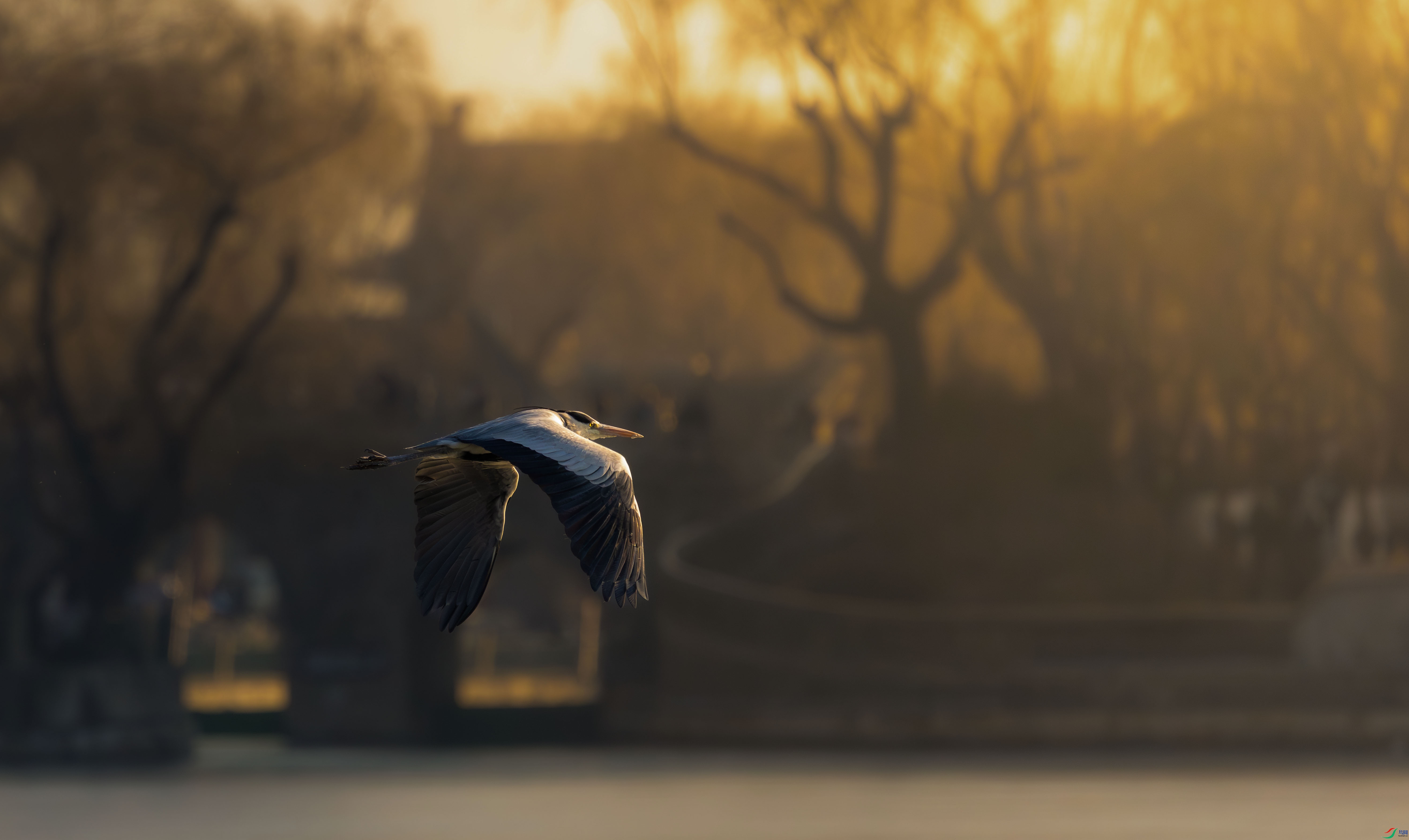 5N2A5181-4 ����.jpg