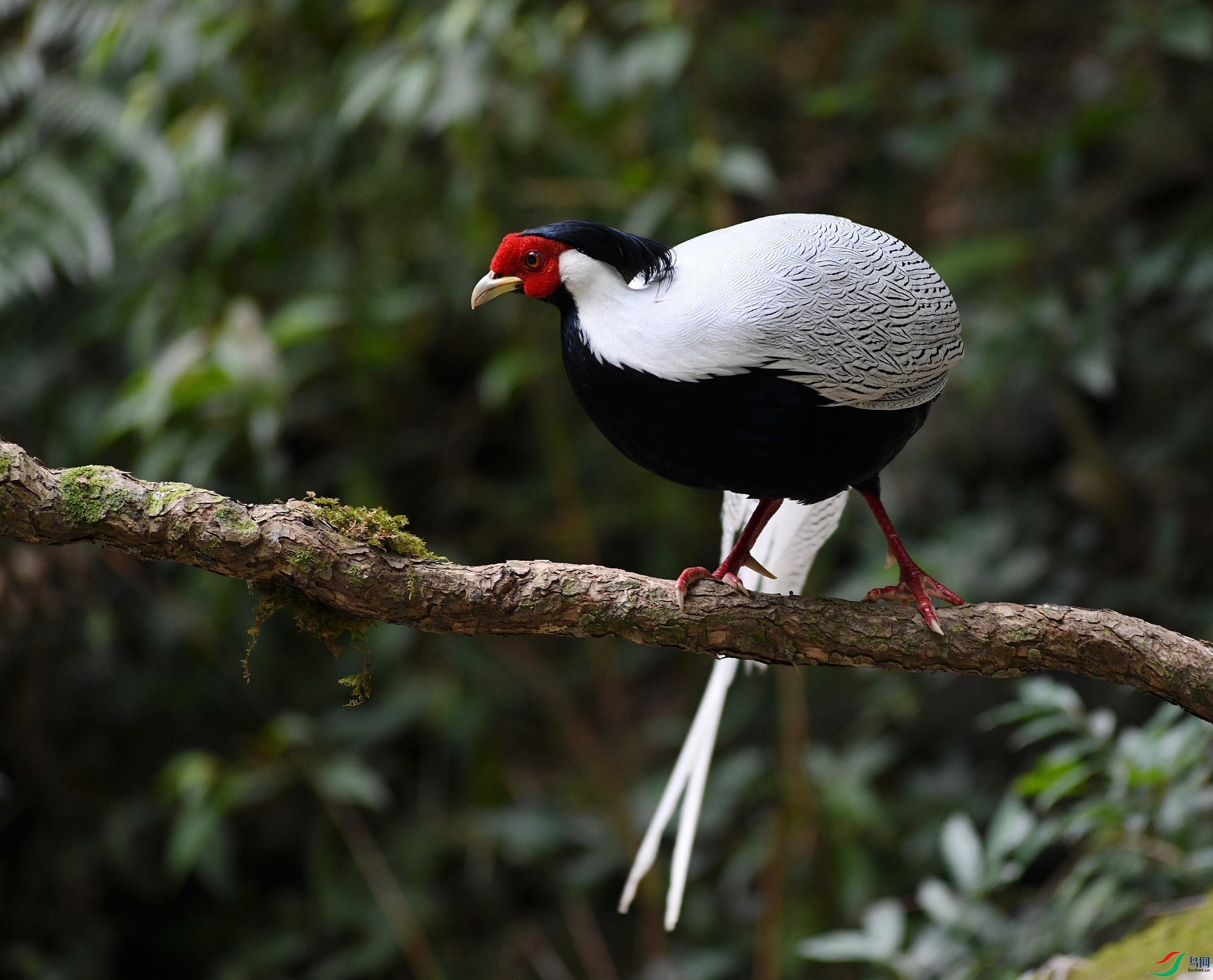 DSC_7226.jpg