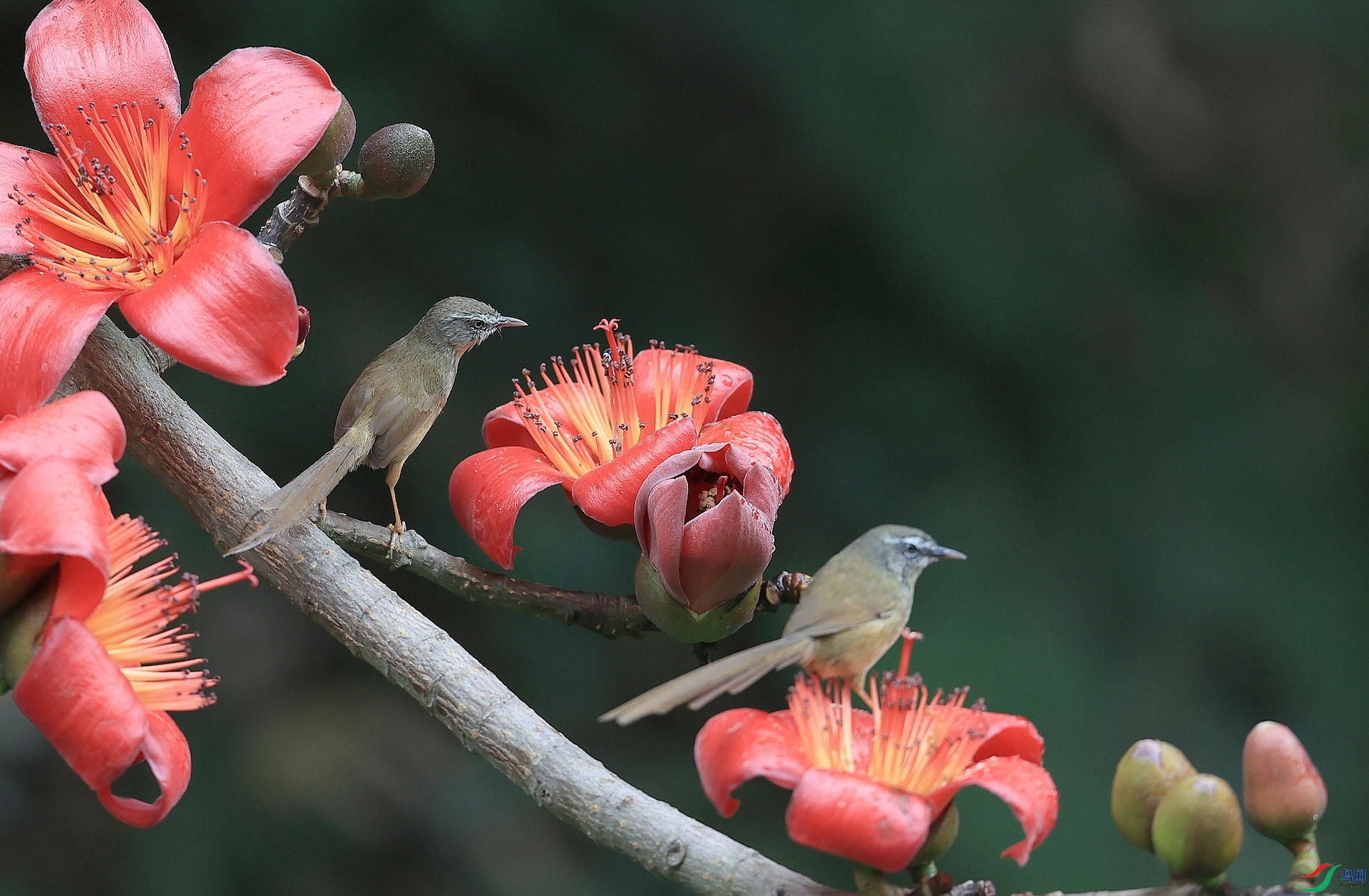 AK1I7647�� ��2.JPG