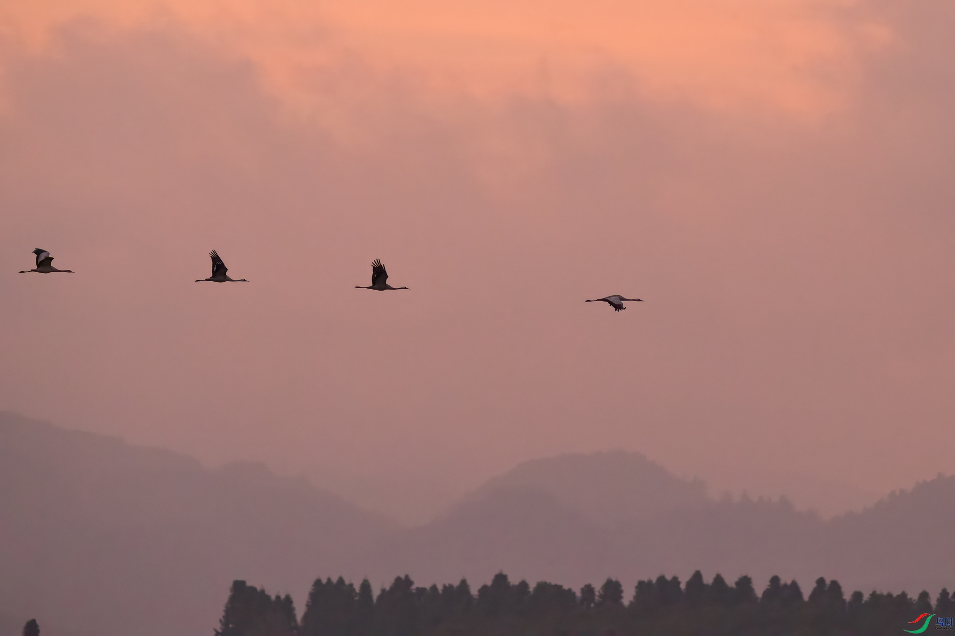 B86I4472 _����.jpg