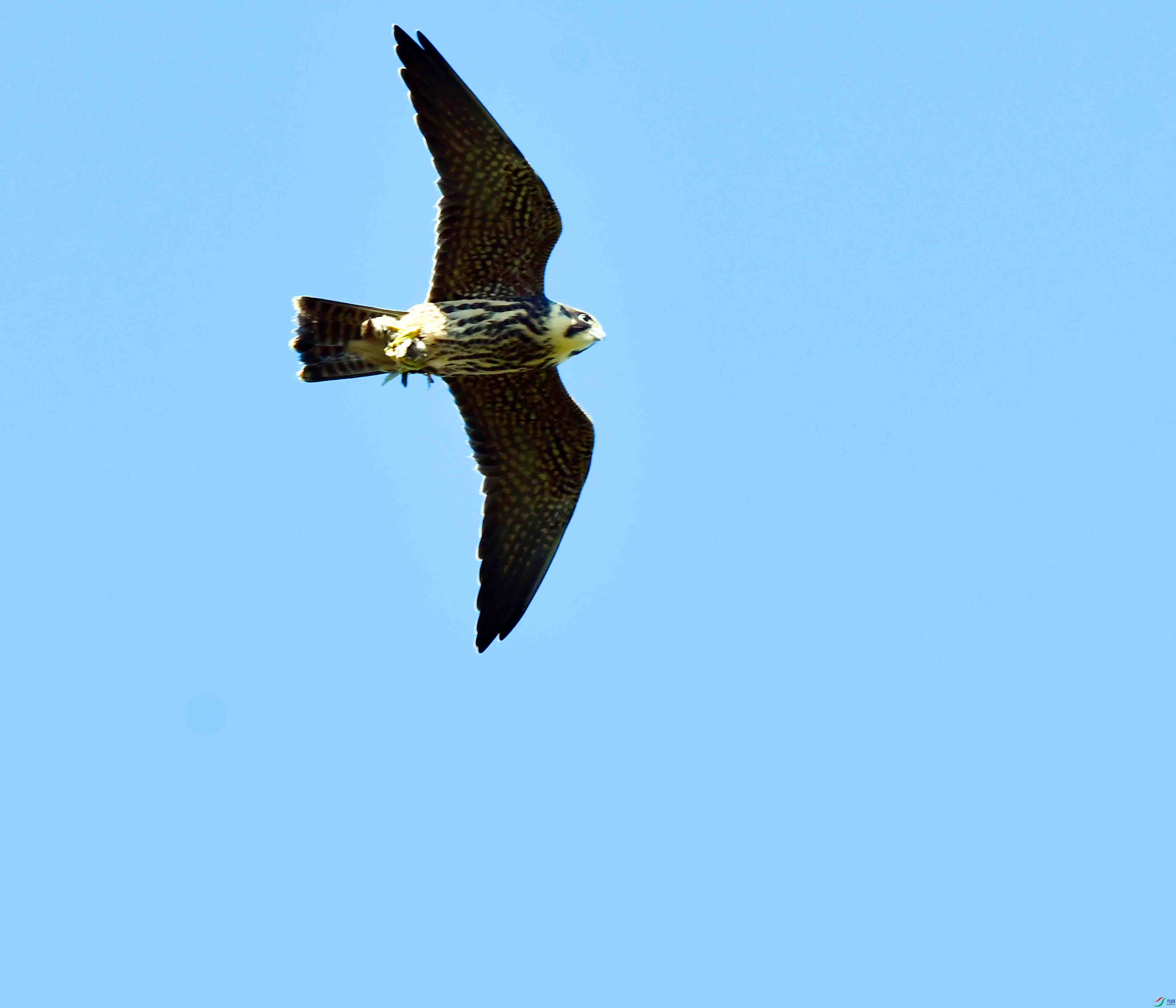DSC_2260.JPG