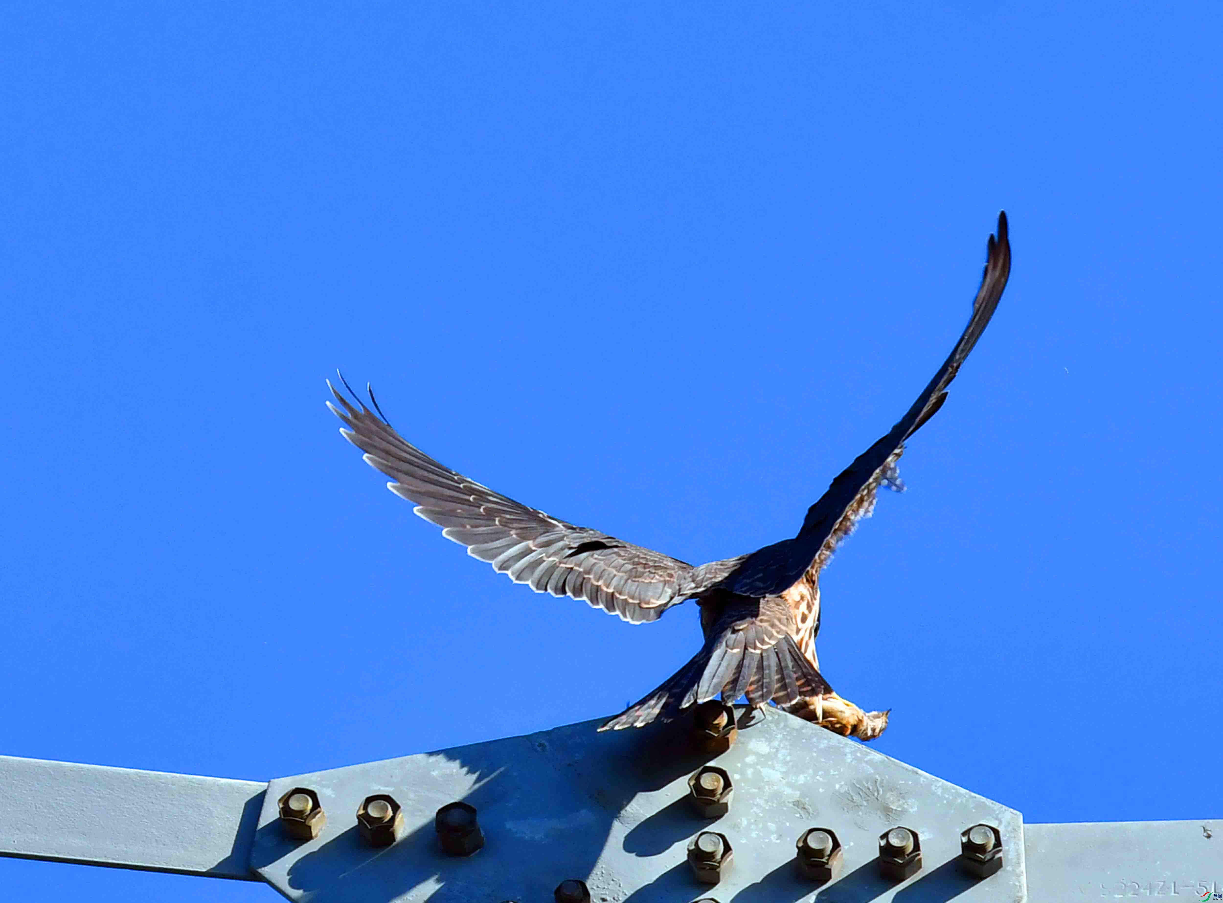 DSC_2274.JPG