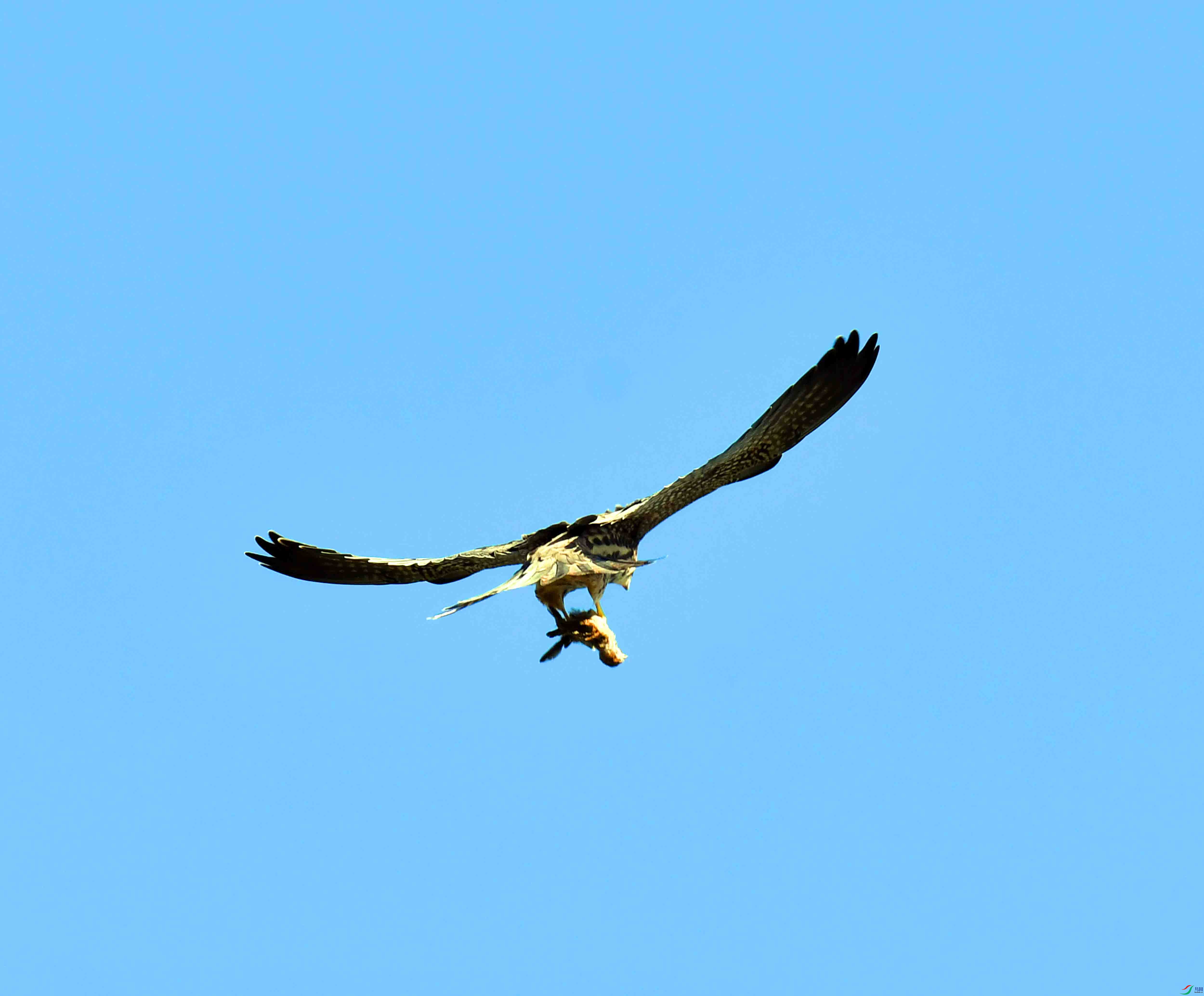 DSC_2271.JPG