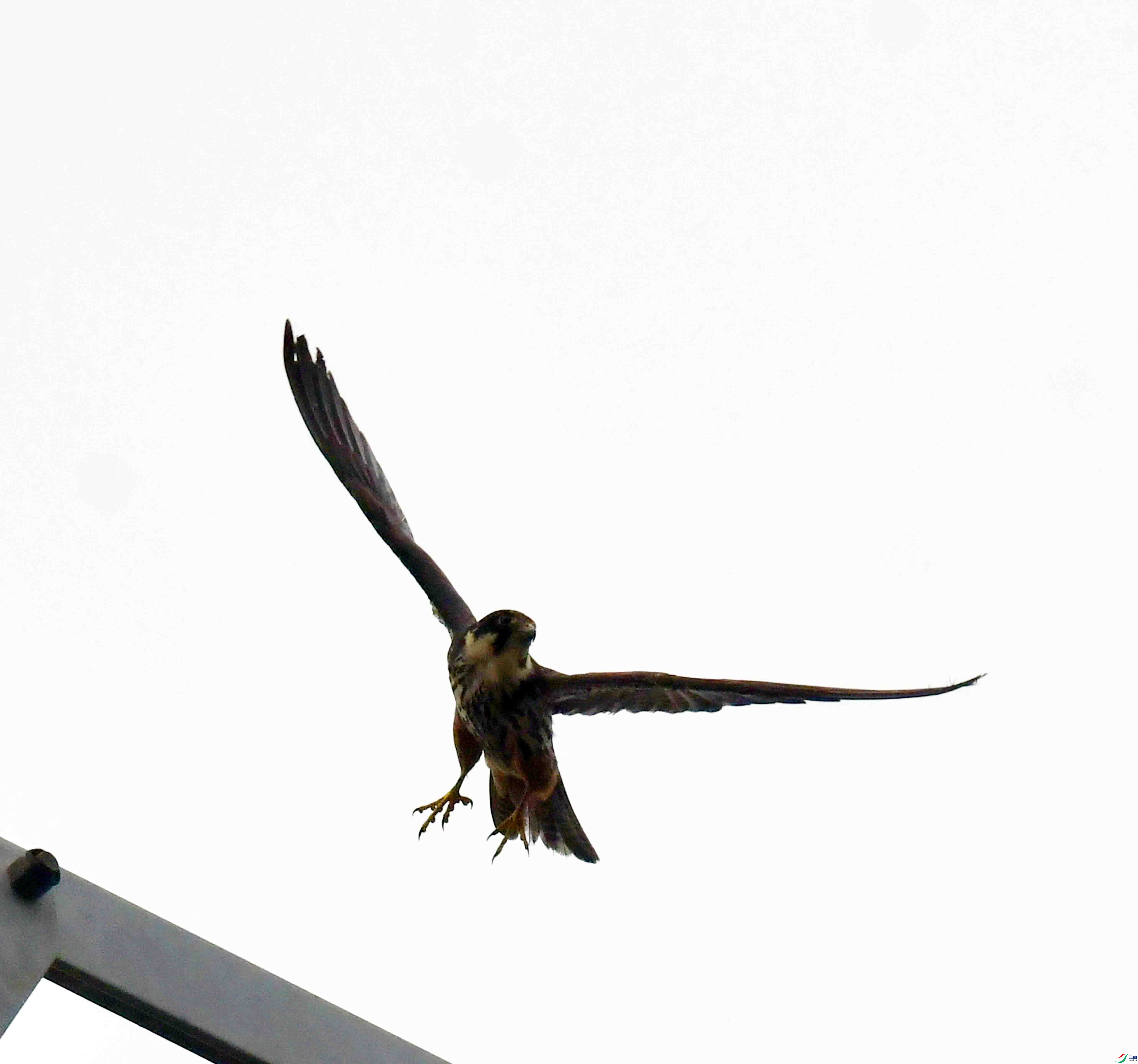 DSC_2306.JPG