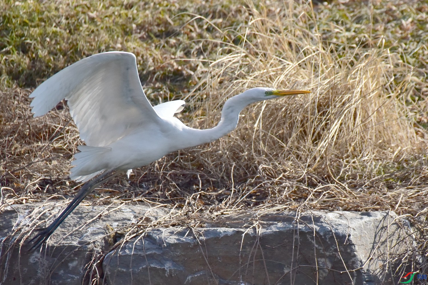 DSC_6209.JPG