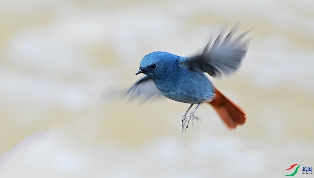 DSC_7139.JPG