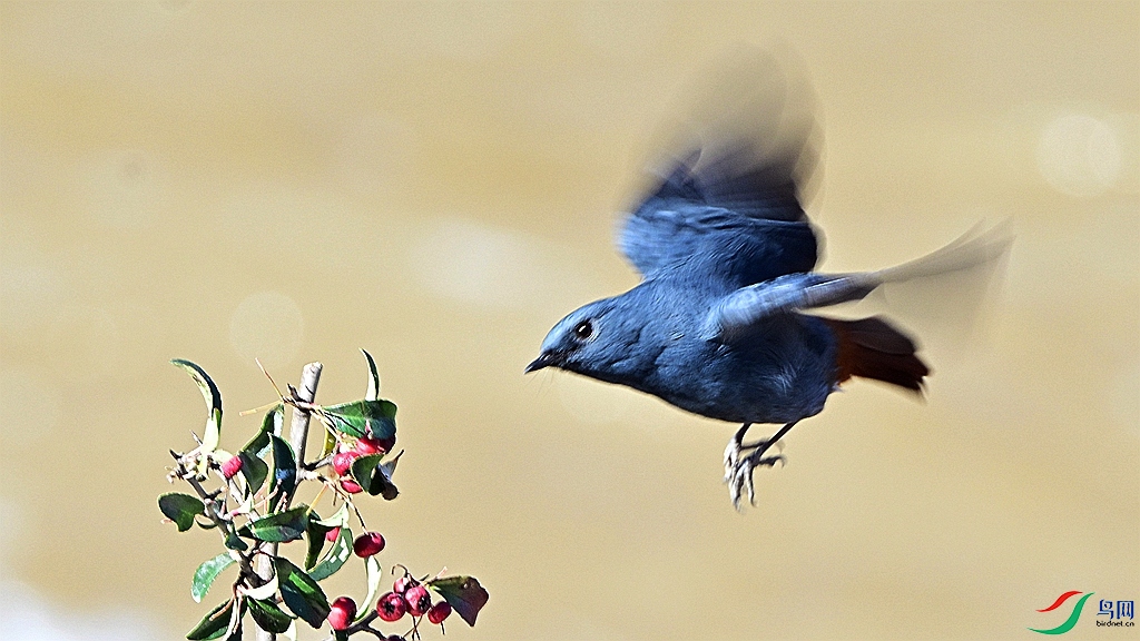 DSC_8203.JPG