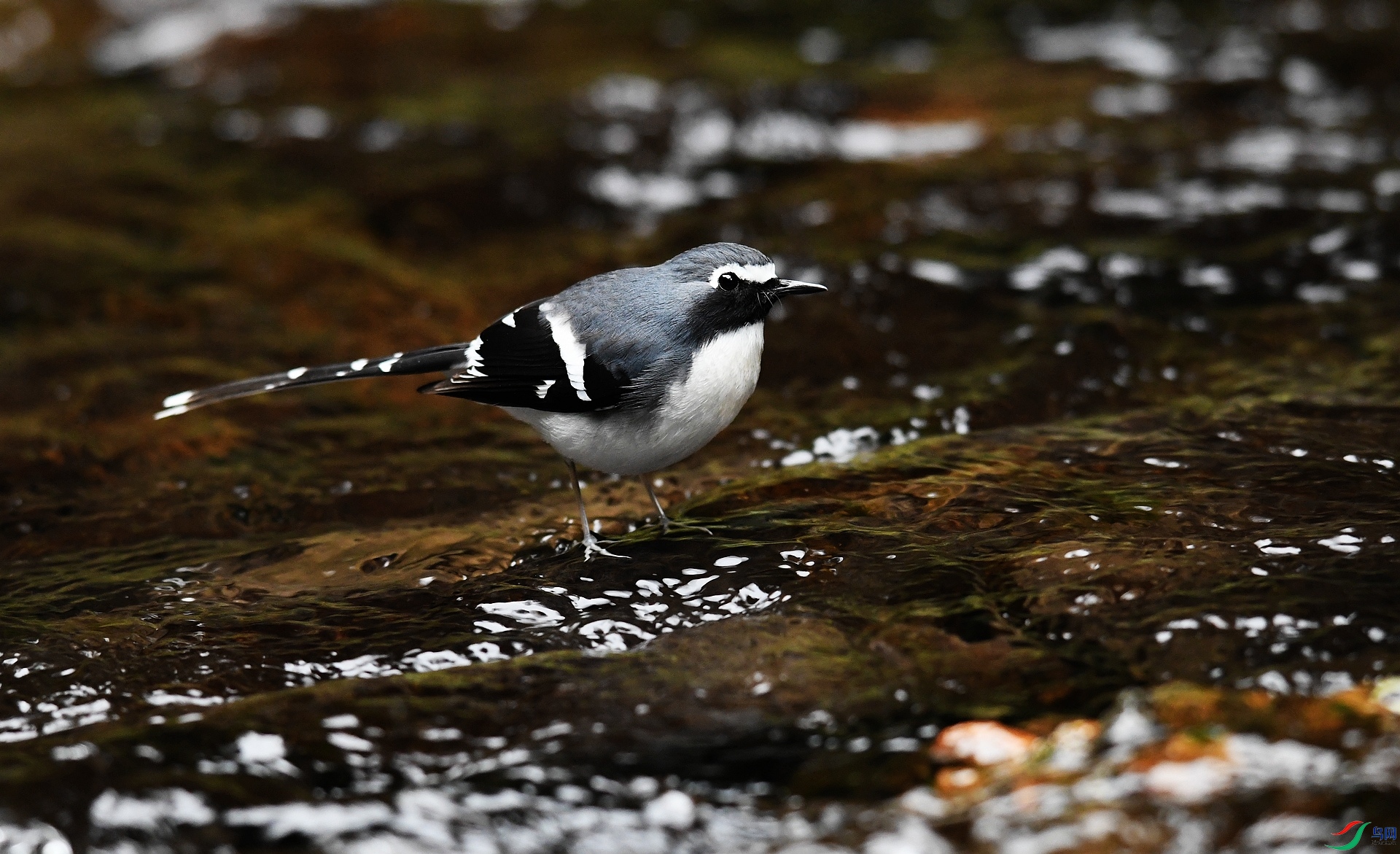 DSC_4000.jpg