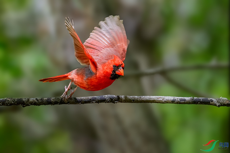 ����ȸ 4.jpg