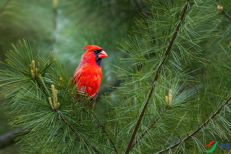 ����ȸ 2 ����.jpg