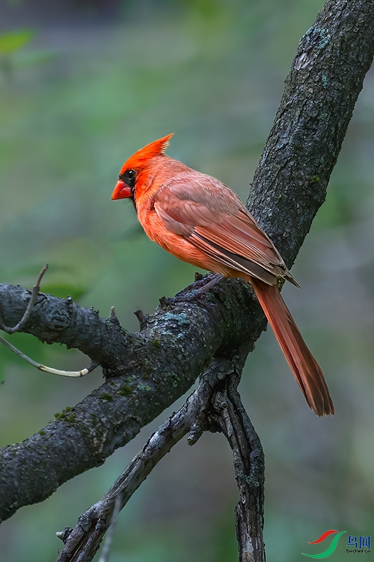 ����ȸ 3 .jpg