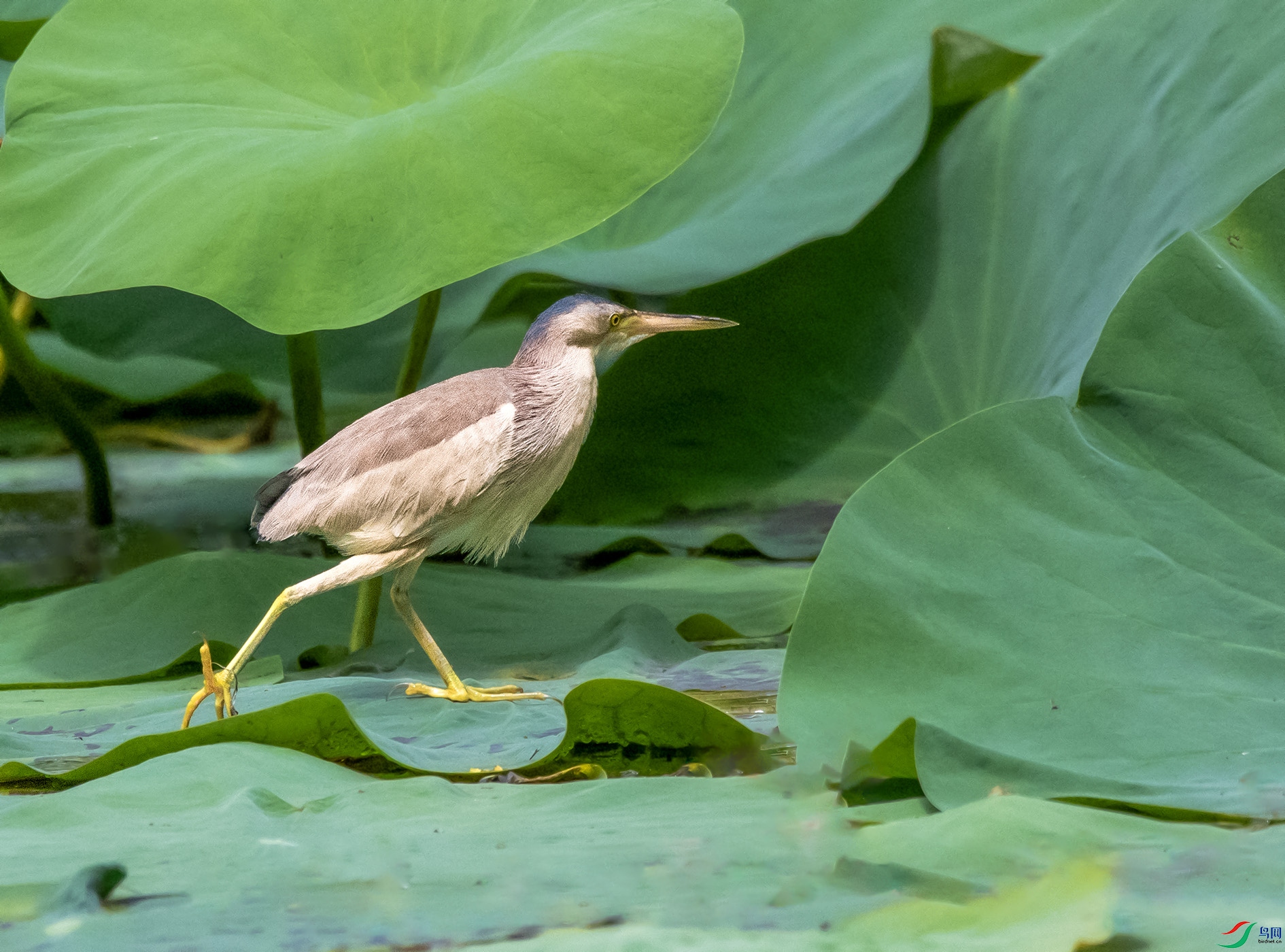 _DSC9878 ����.jpg