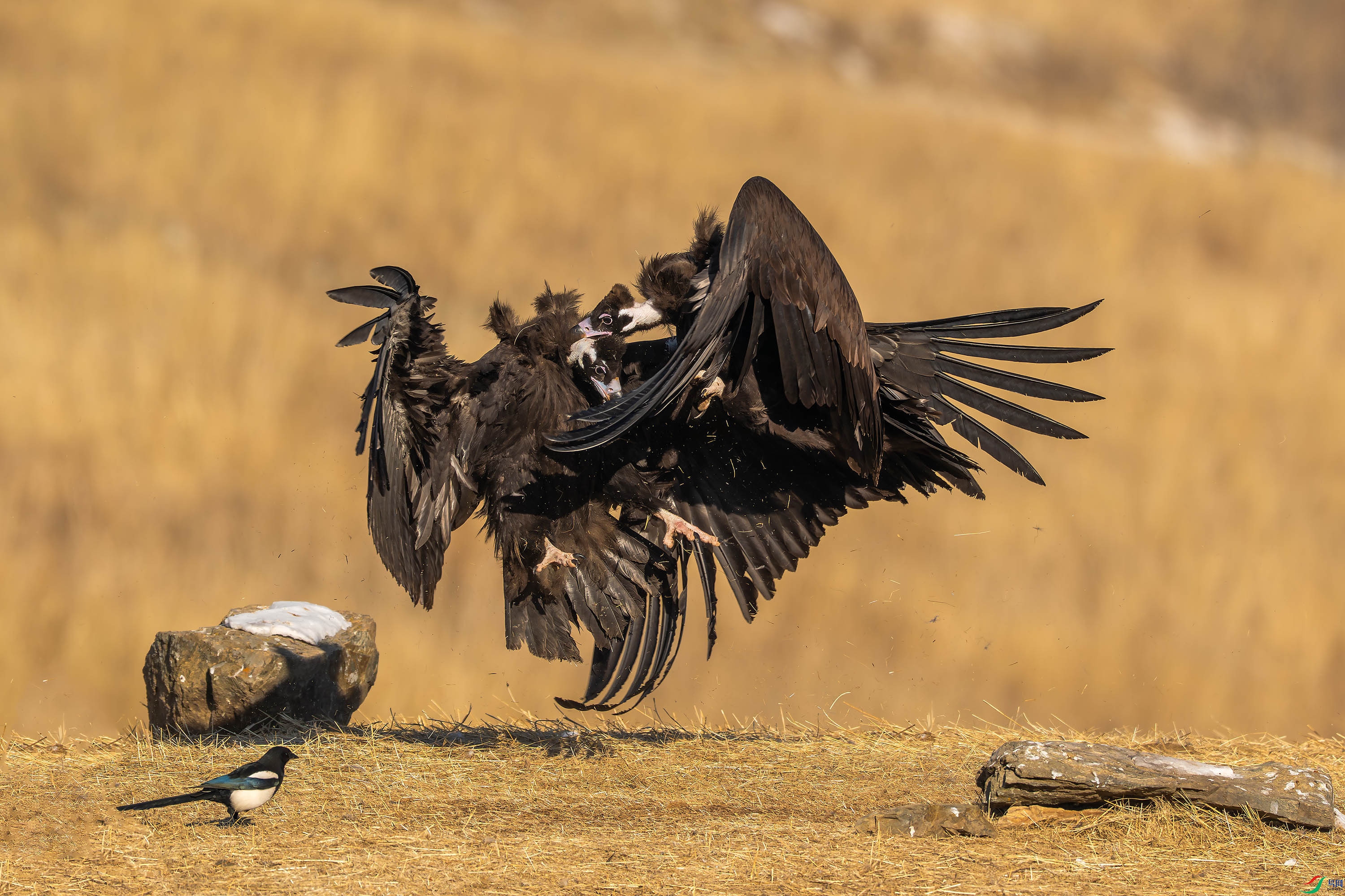 _DSC7913 ���� 2.jpg