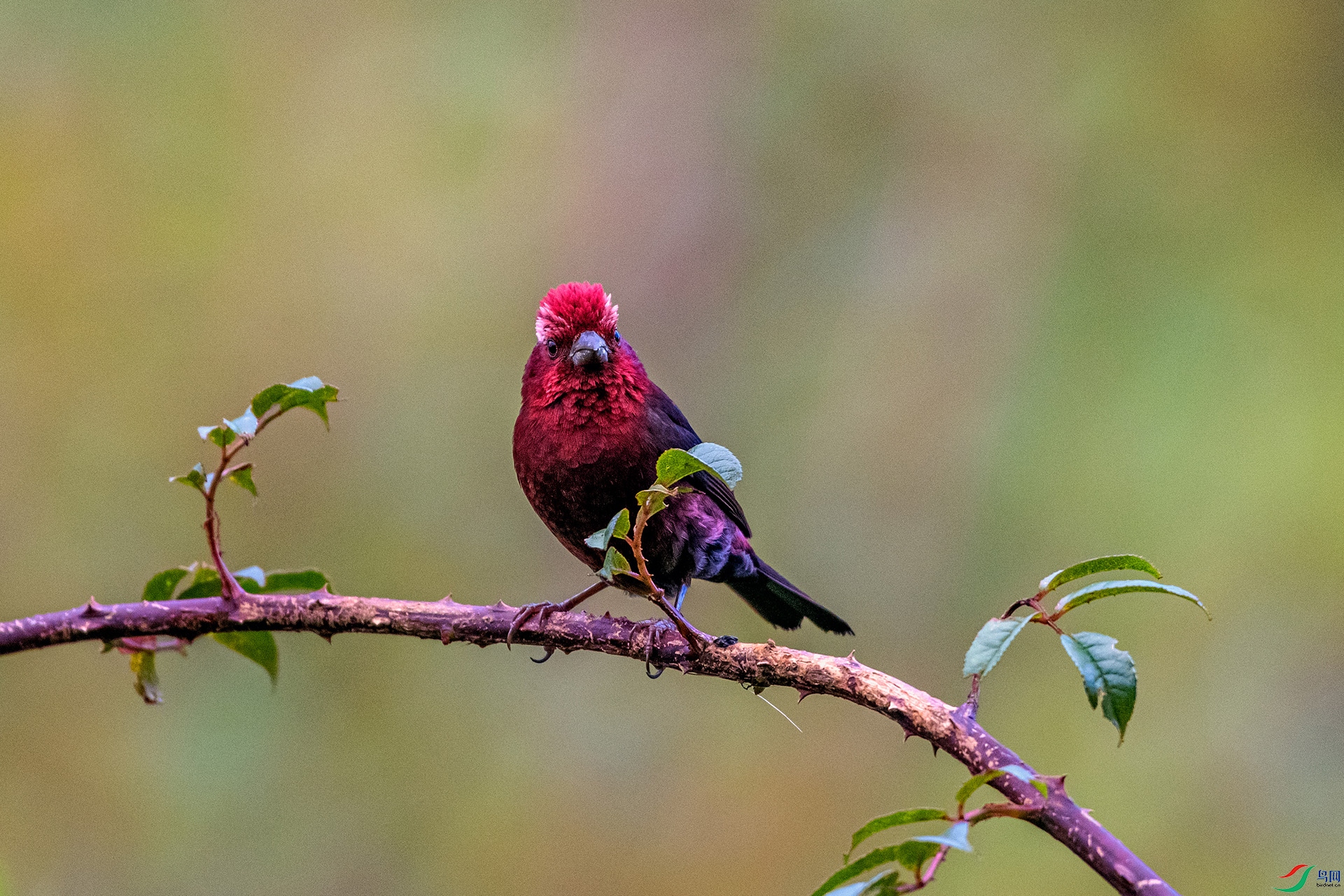 _AUU8785 �ƺ���ȸ(25.8.26).jpg