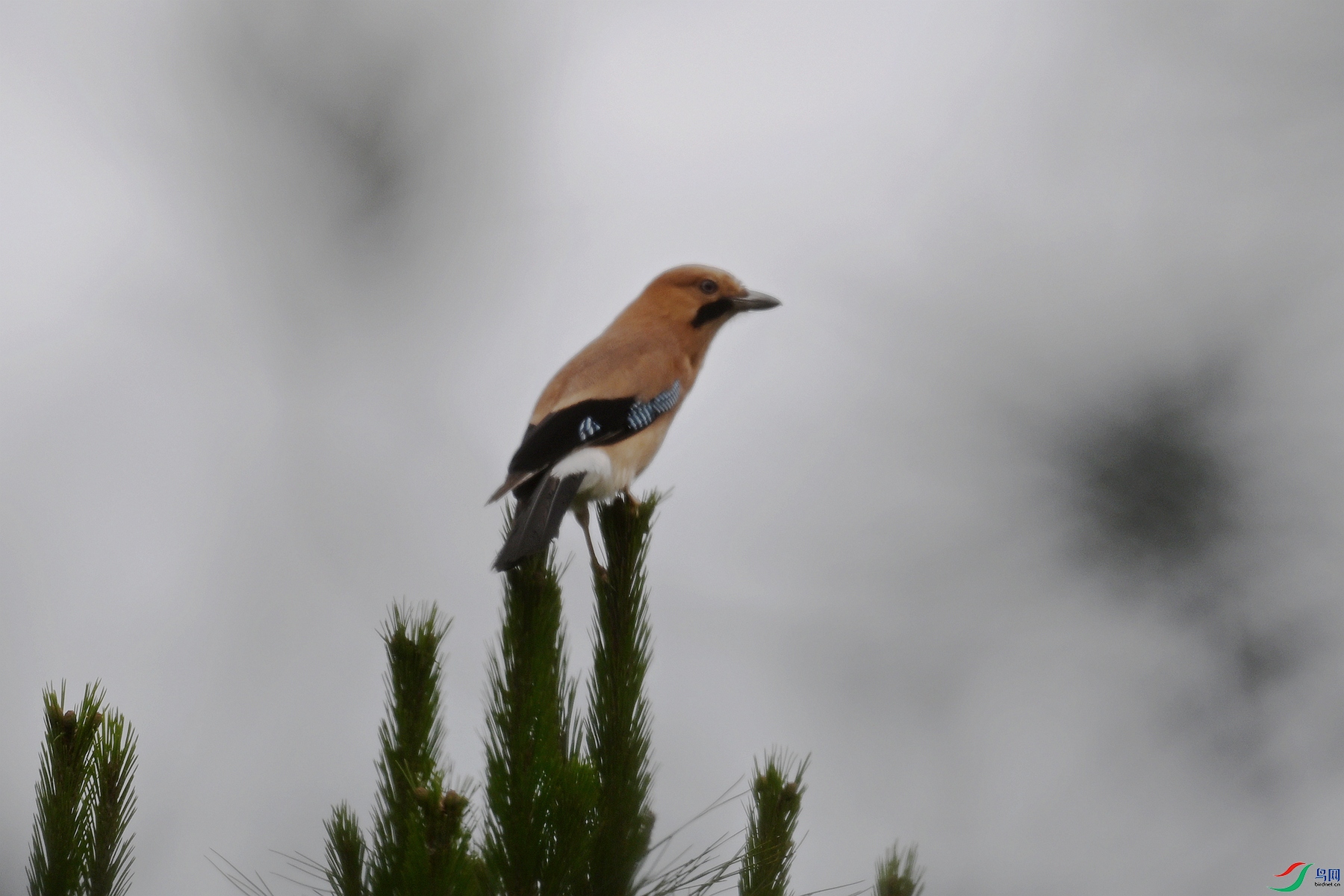 DSC_9943.JPG