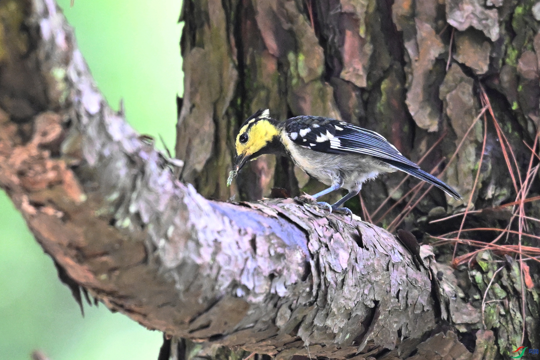 DSC_9979.JPG