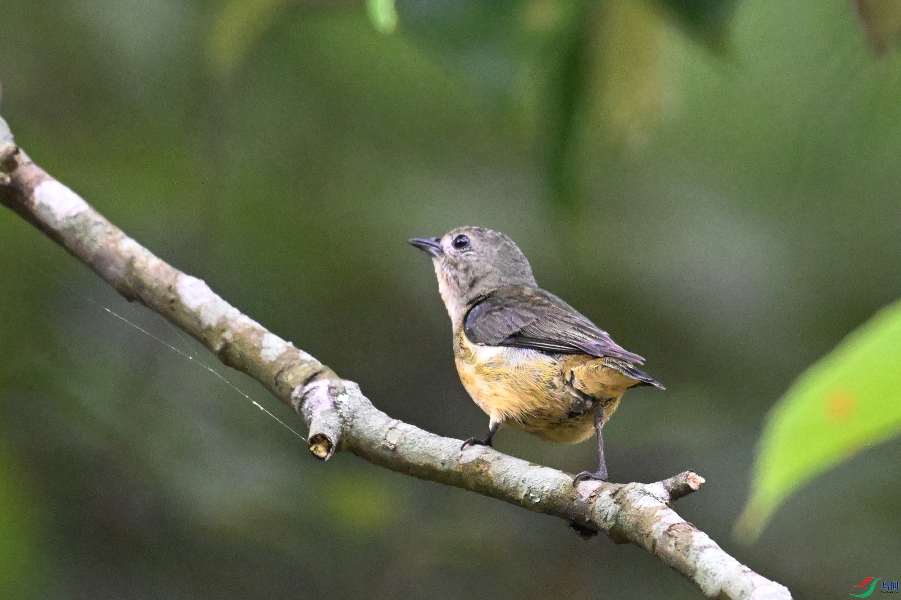 DSC_9901.JPG