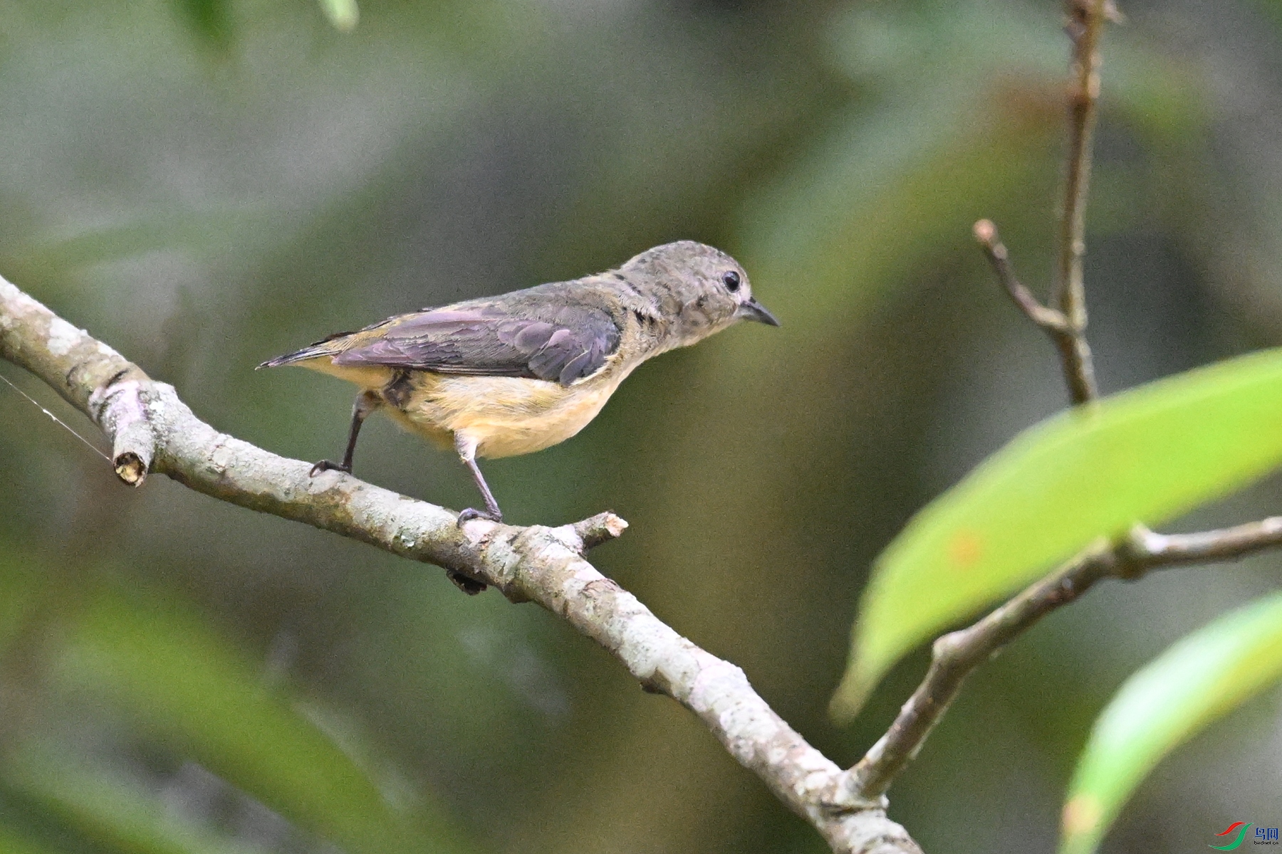 DSC_9910.JPG