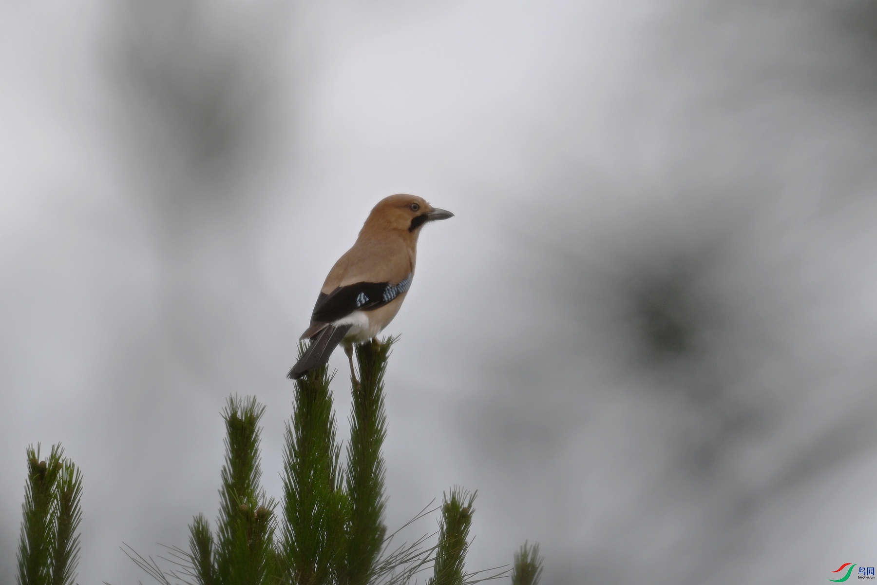 DSC_9947.JPG