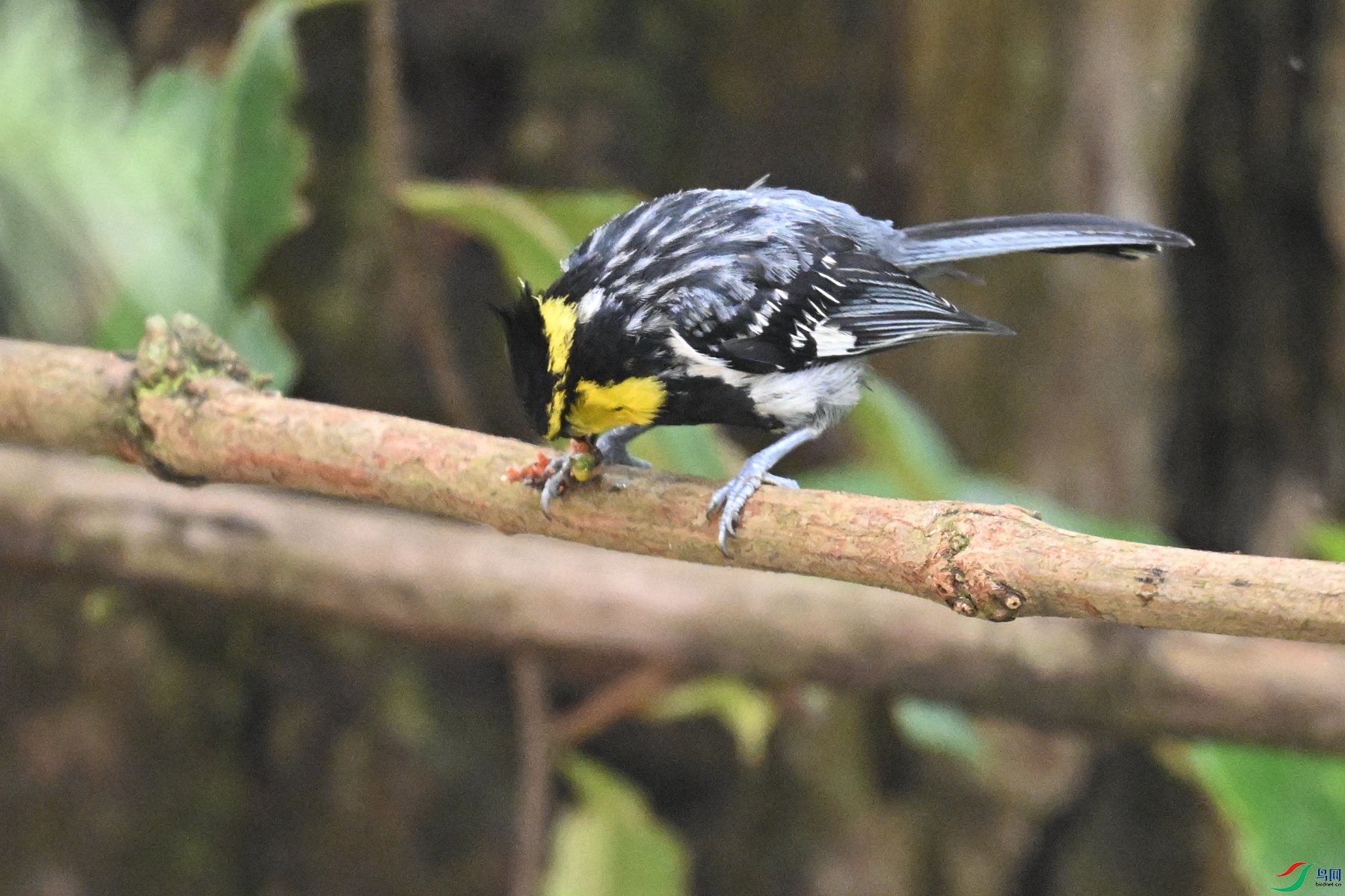 DSC_9990.JPG