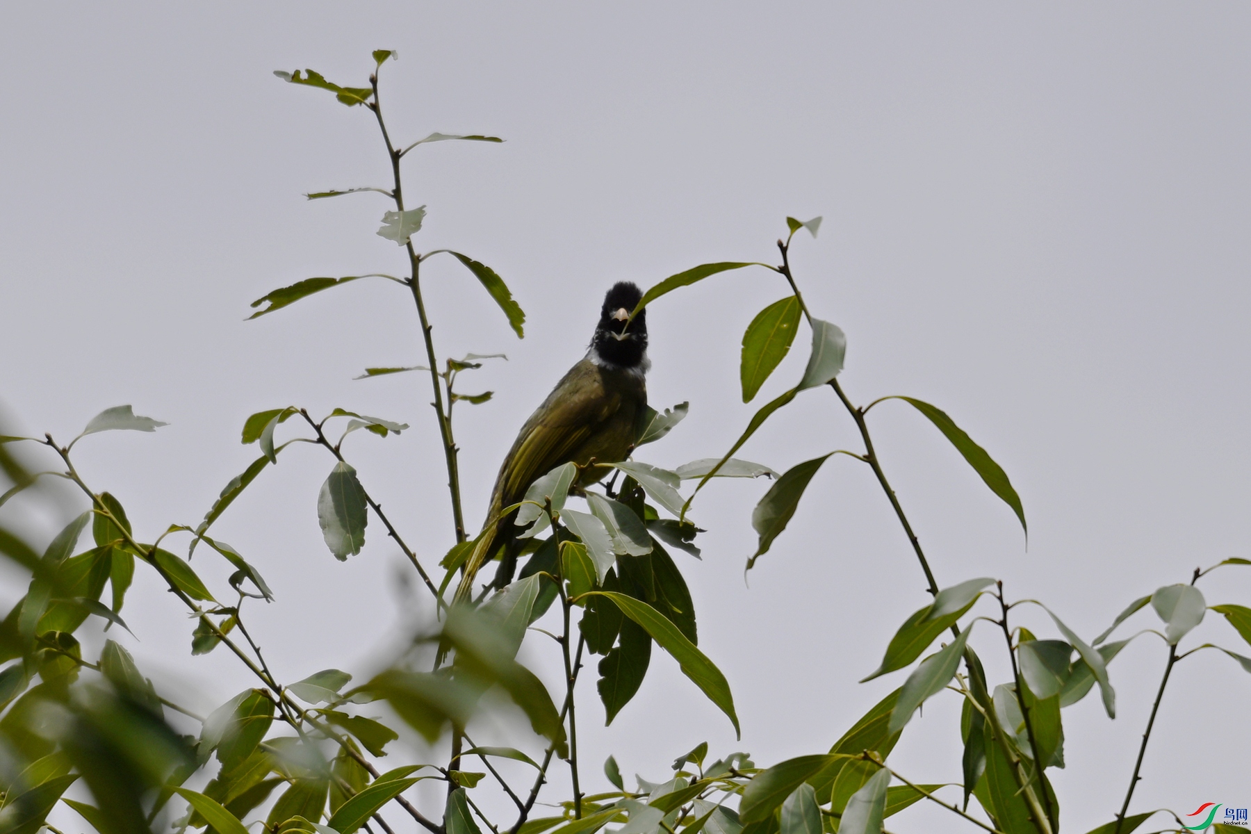 DSC_9968.JPG