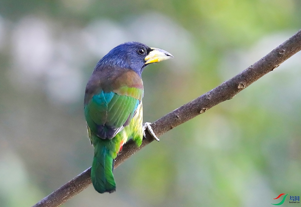 ������ľ�� (3).JPG