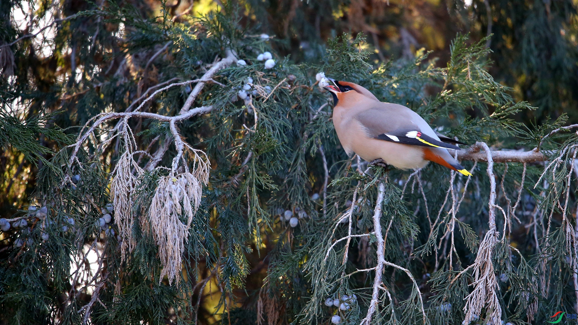 A48Z0996_����.jpg