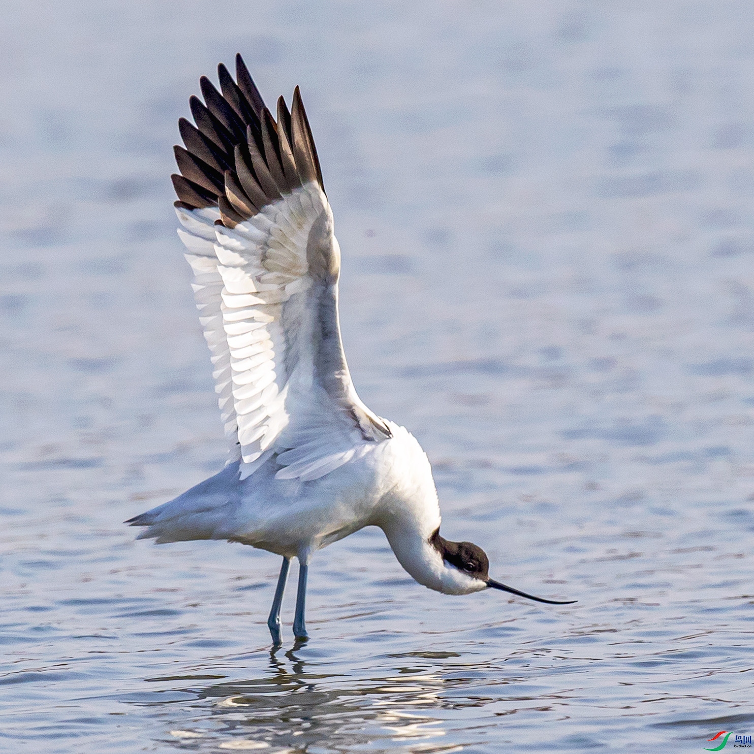 _90I9117 ����.jpg