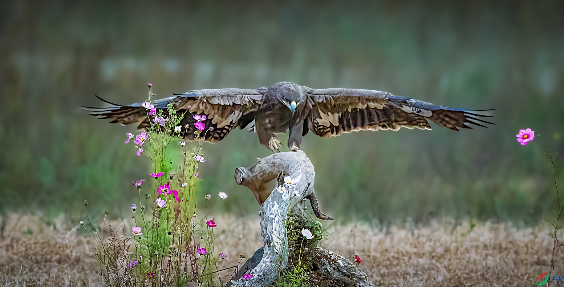 ƽ��ľ��ˣƽ��