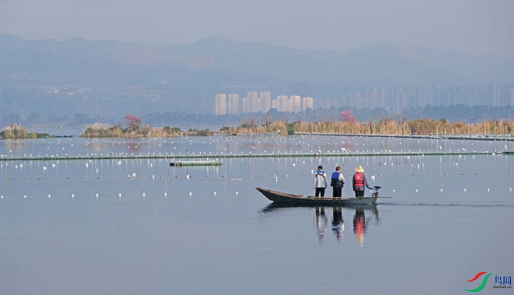 DSCF5992.1.jpg