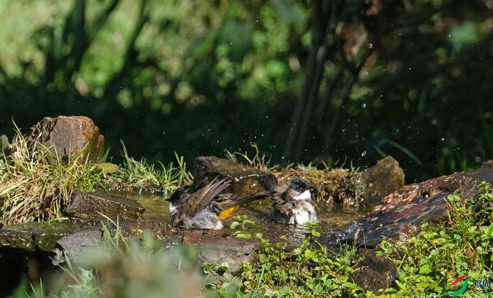 DSCF5280.1.jpg