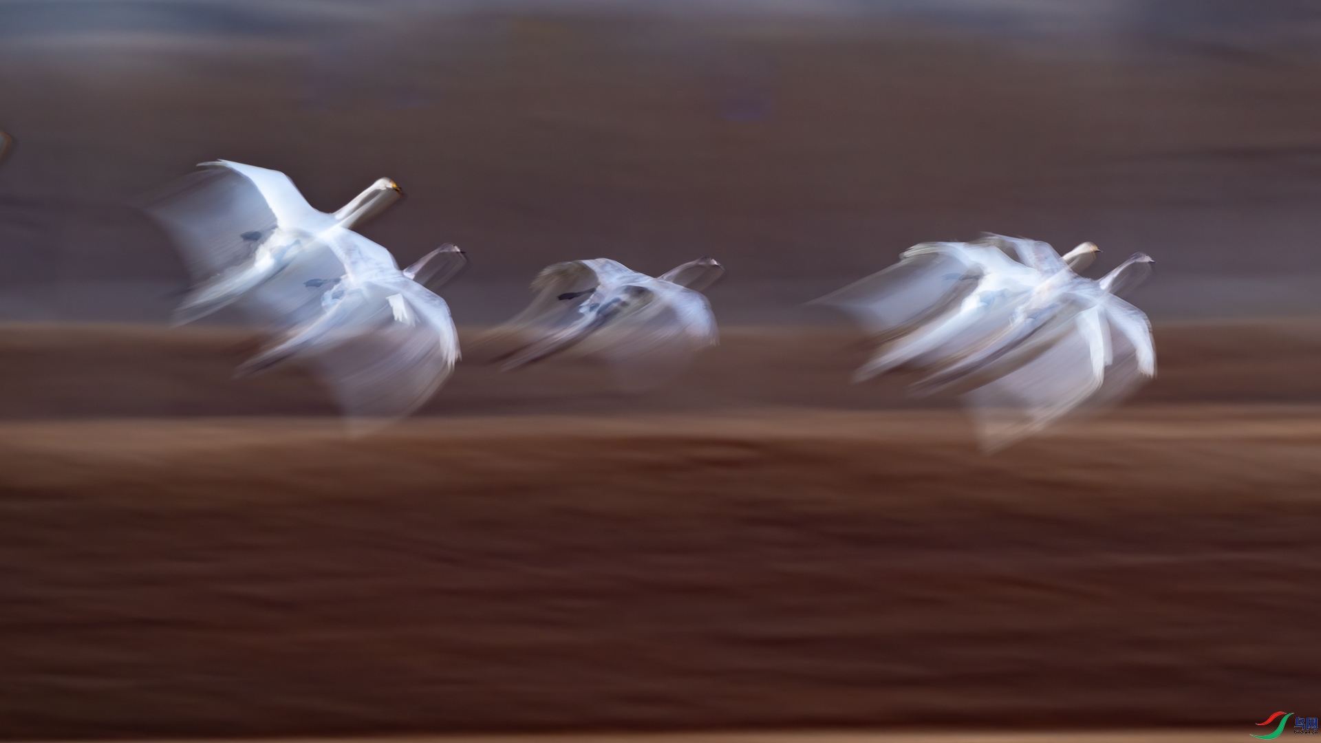 C05773.jpg