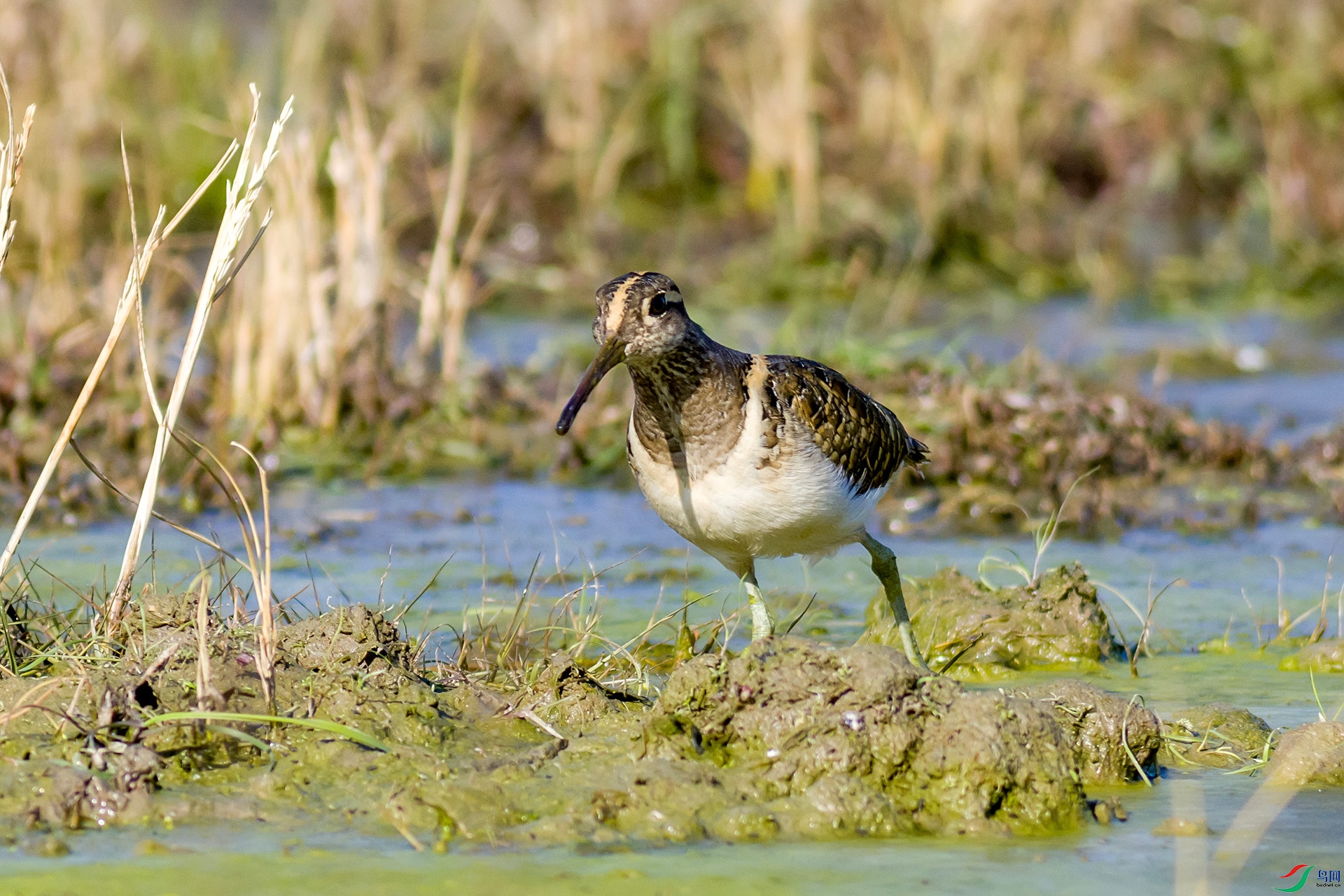 2H6A9824 ����_����.jpg