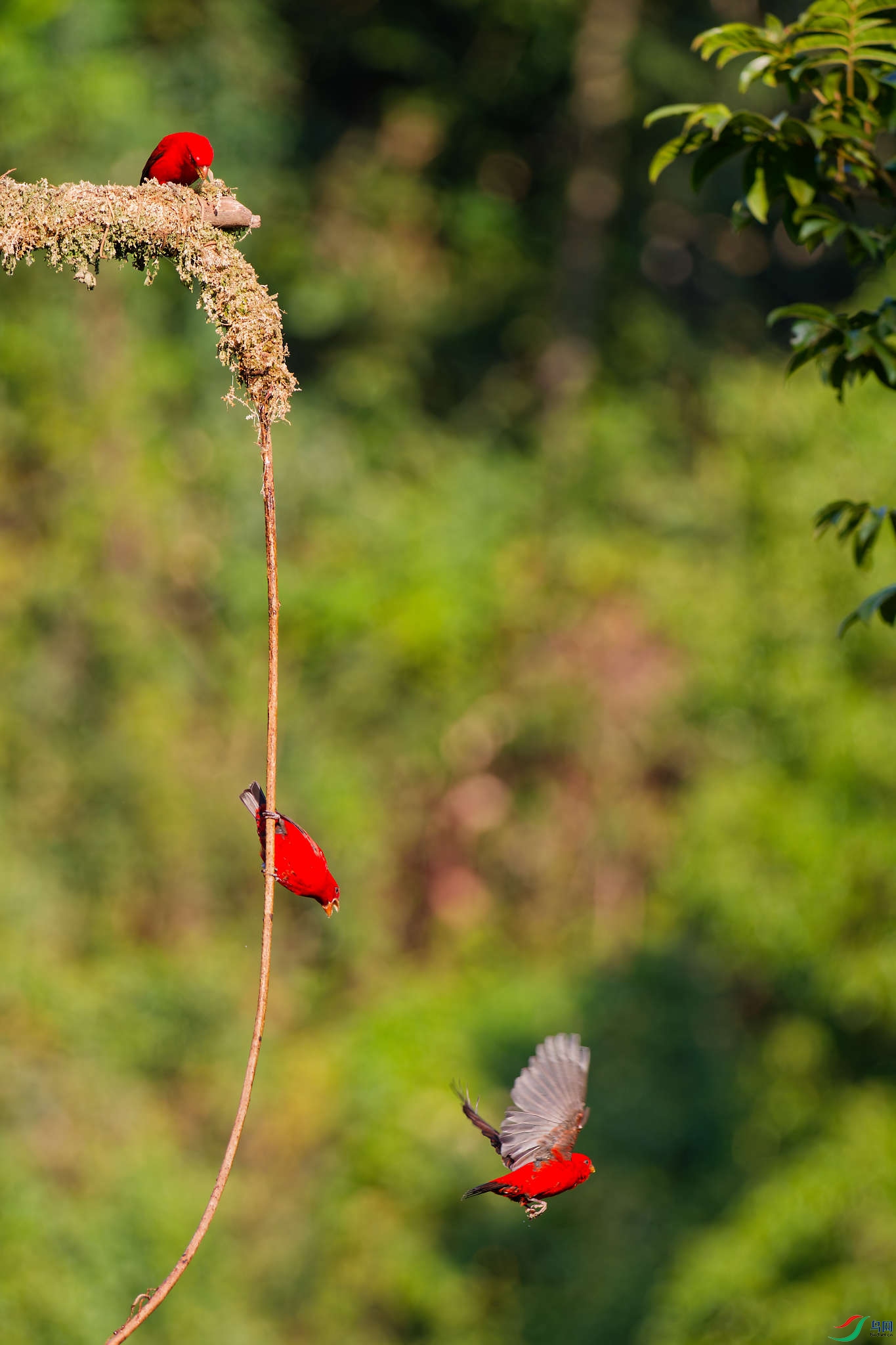 DSC_0007_DxO.jpg