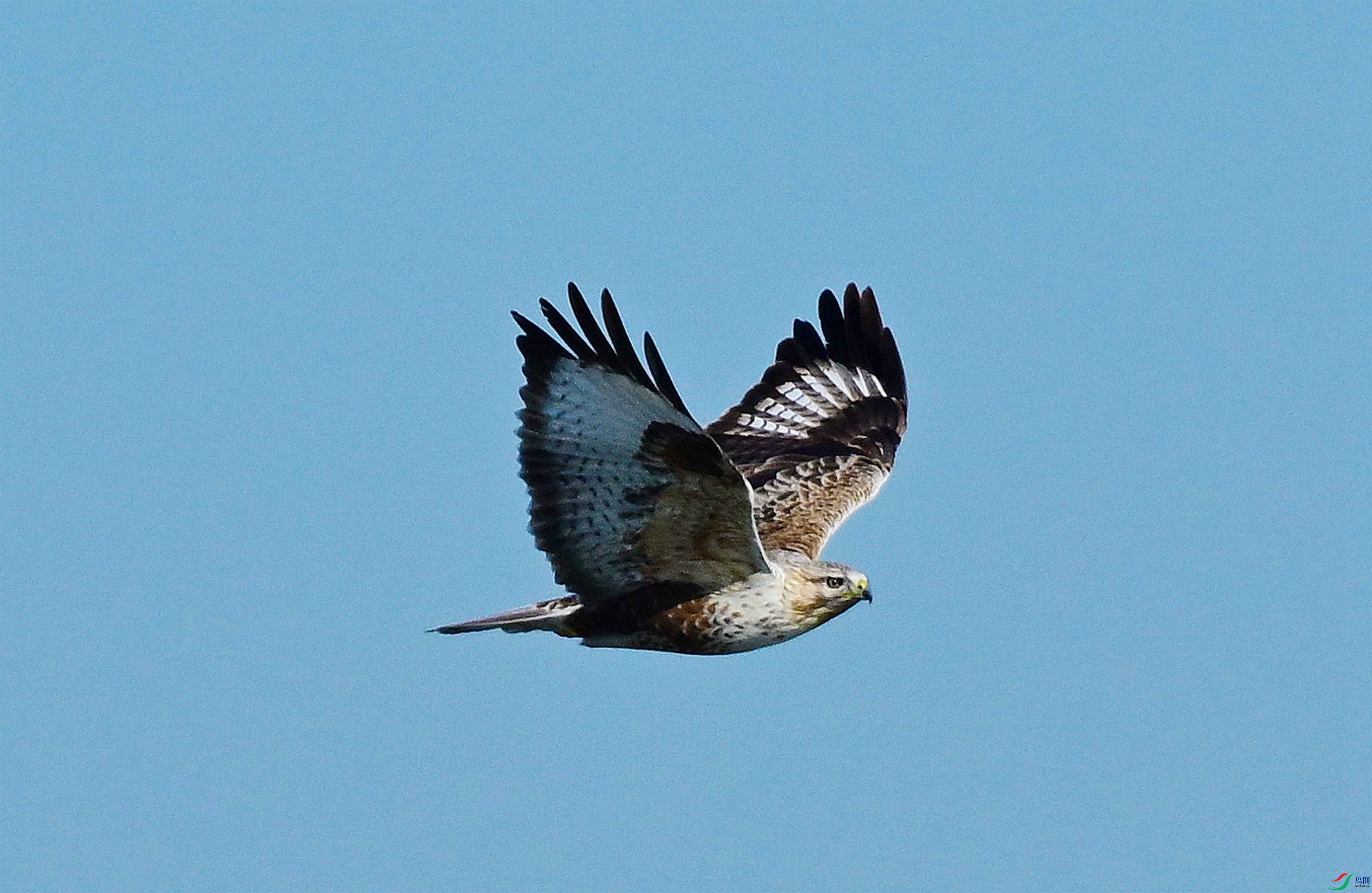 DSC_3634.JPG