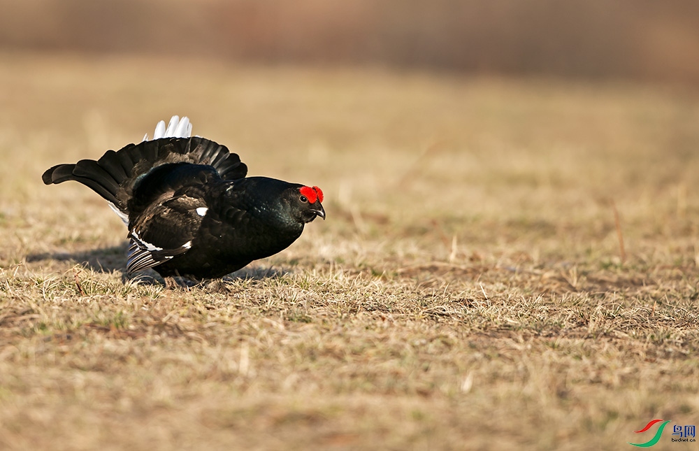_GE_0470.jpg