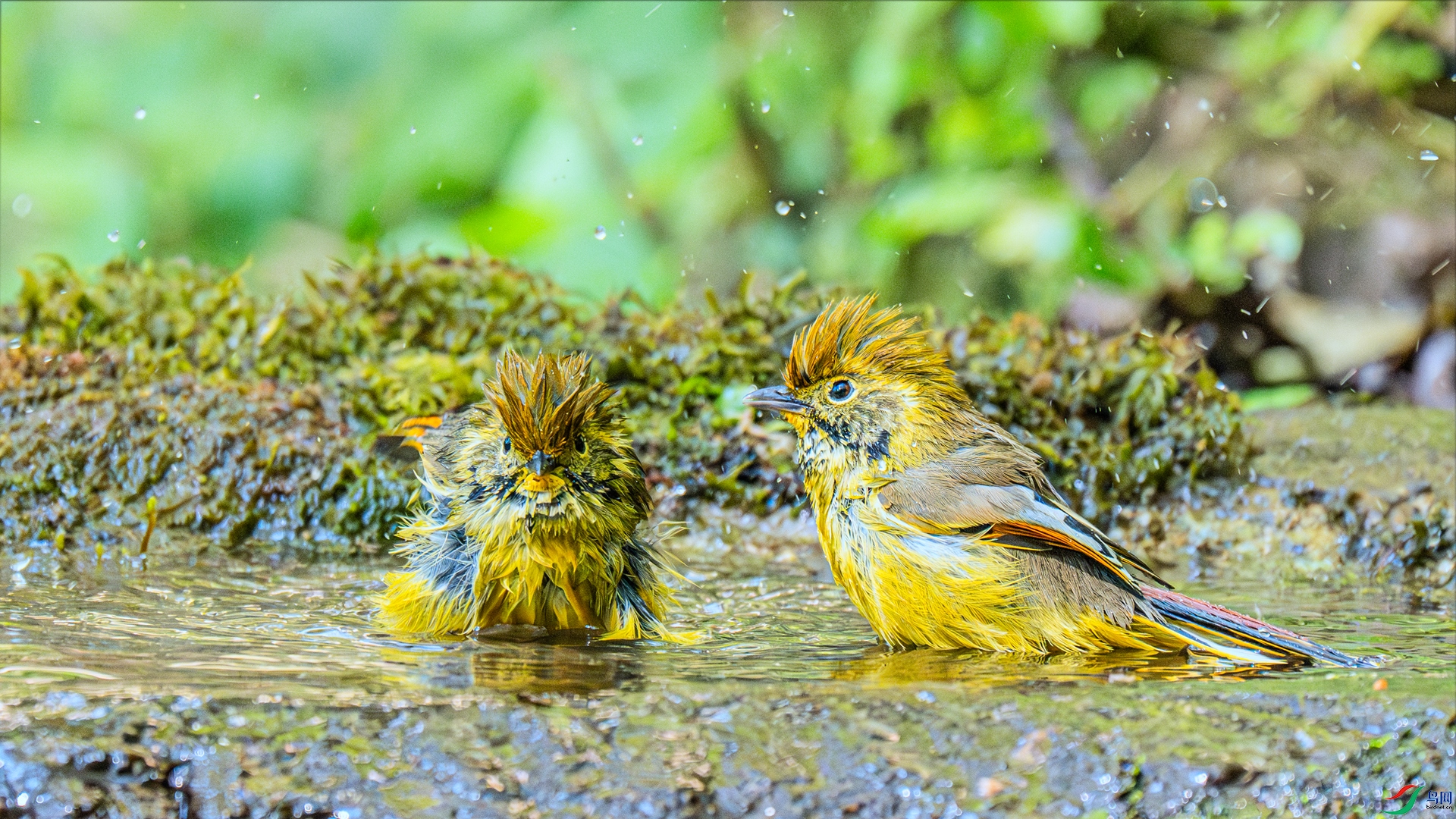 DSC_8702 ����_����.jpg